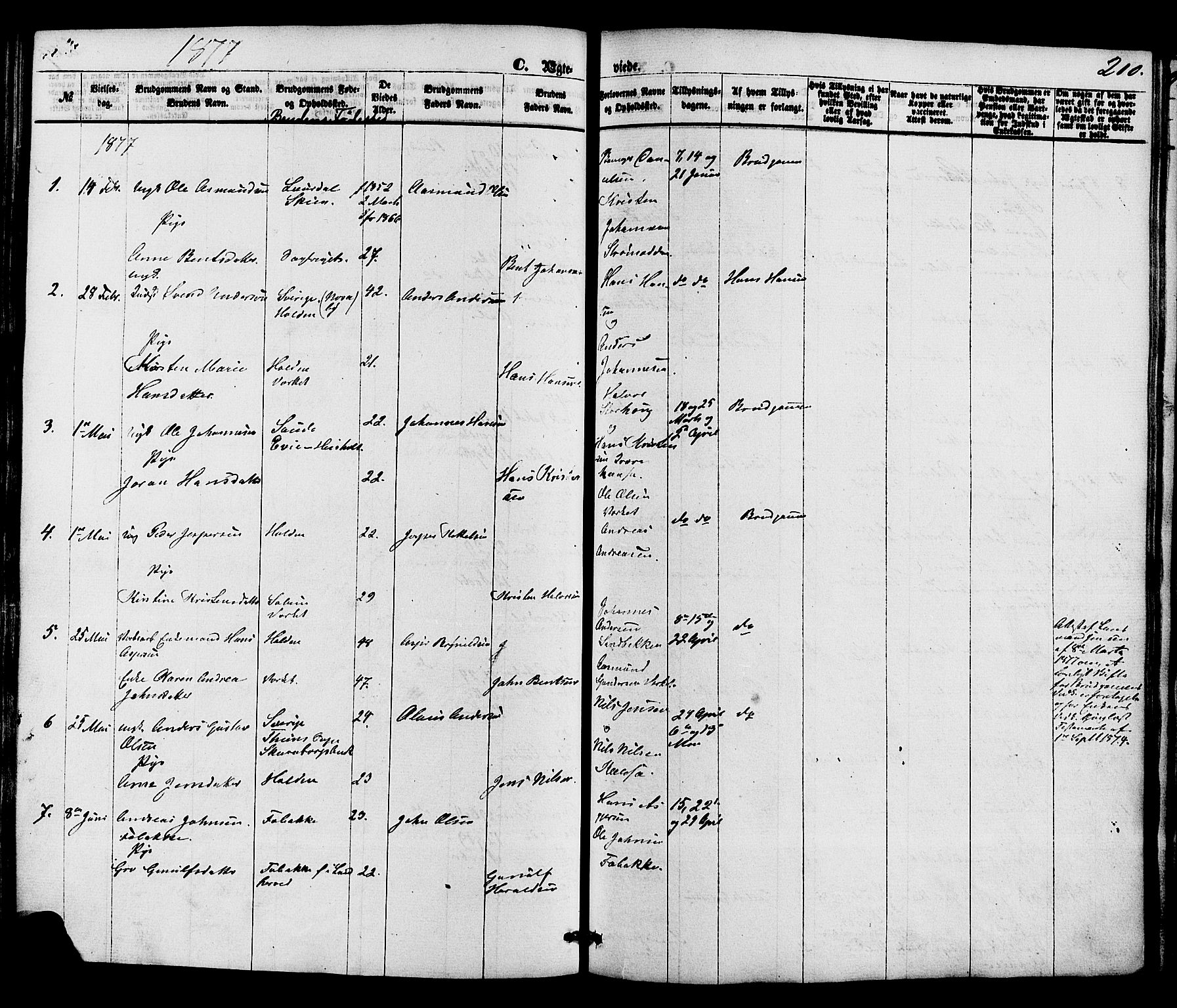 Holla kirkebøker, AV/SAKO-A-272/F/Fa/L0007: Ministerialbok nr. 7, 1869-1881, s. 210