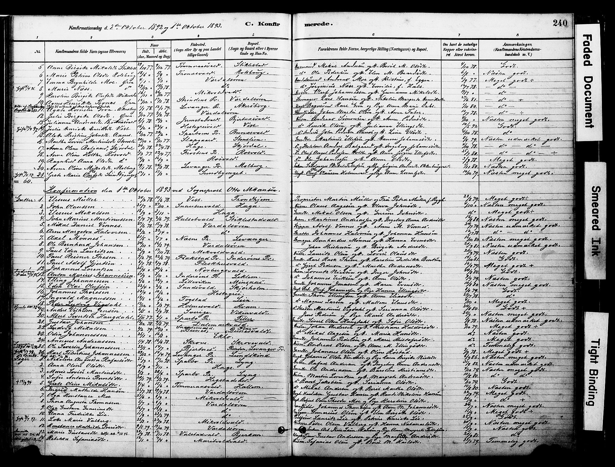 Ministerialprotokoller, klokkerbøker og fødselsregistre - Nord-Trøndelag, AV/SAT-A-1458/723/L0244: Ministerialbok nr. 723A13, 1881-1899, s. 240