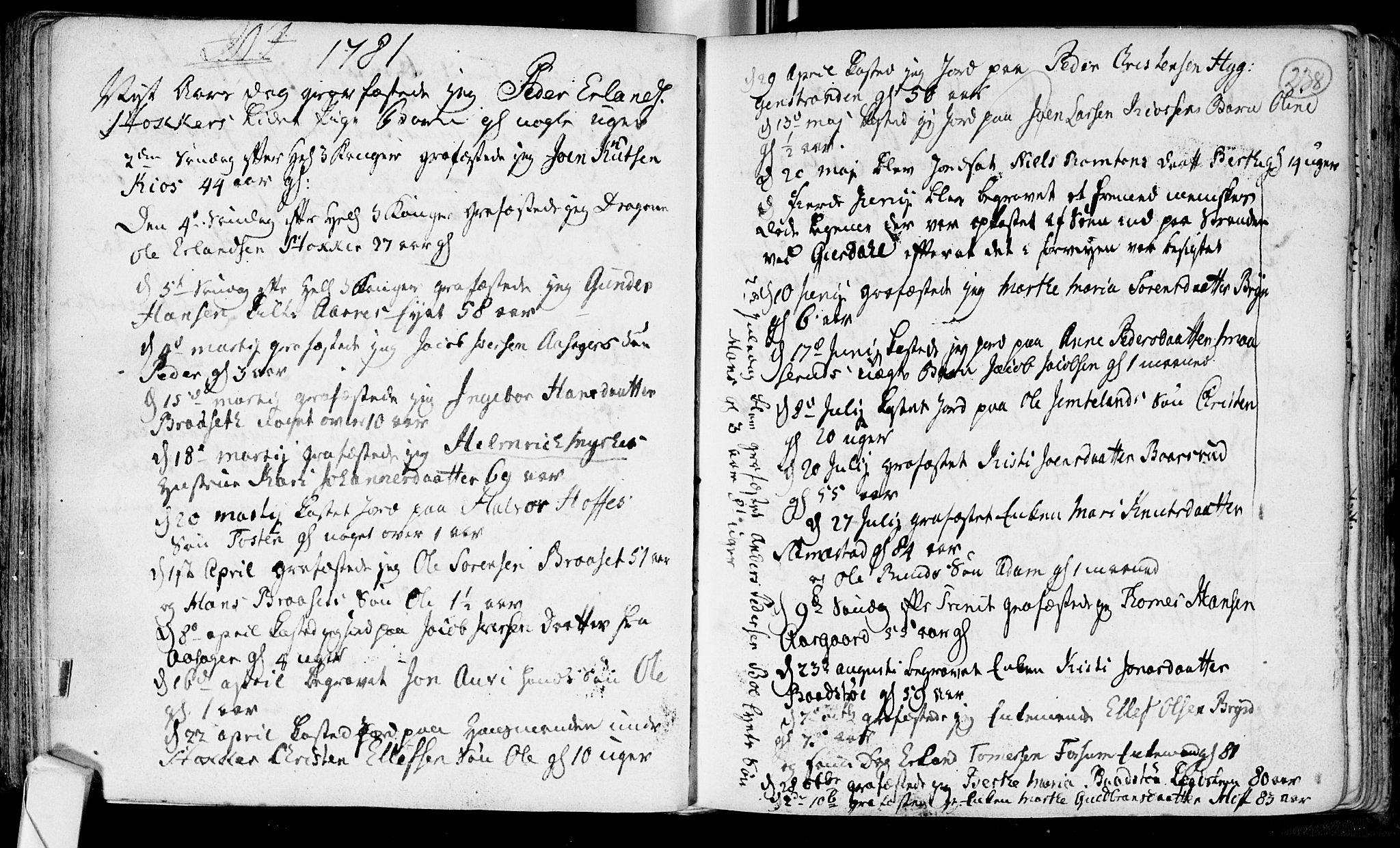 Røyken kirkebøker, SAKO/A-241/F/Fa/L0002: Ministerialbok nr. 2, 1731-1782, s. 238