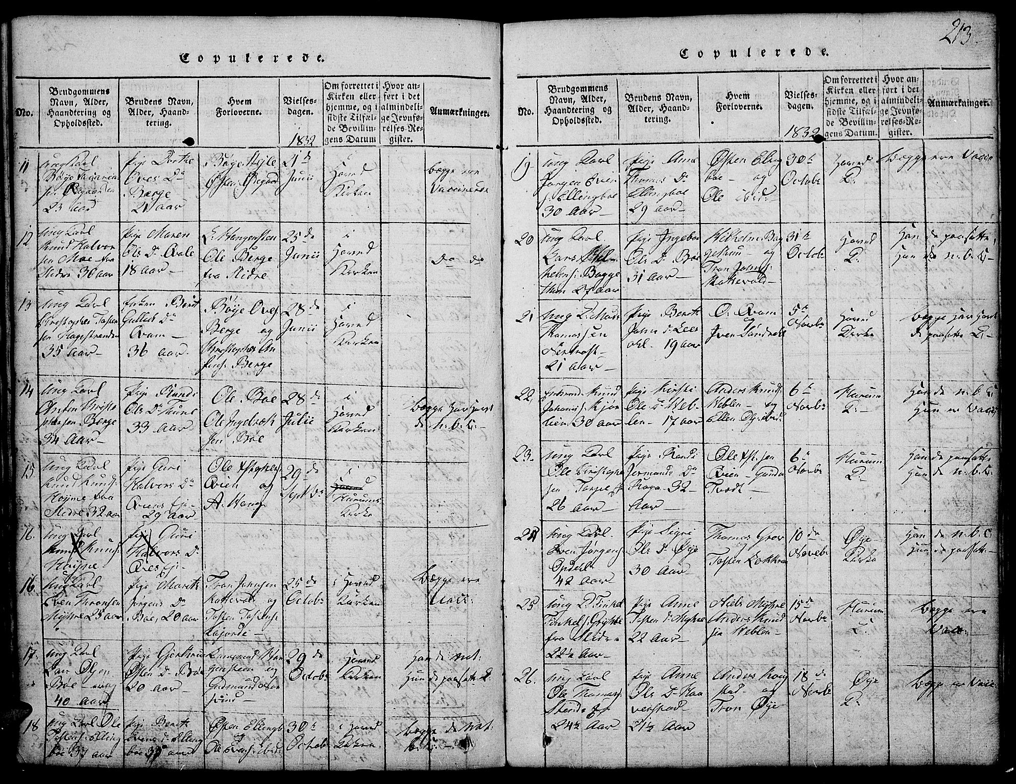 Vang prestekontor, Valdres, AV/SAH-PREST-140/H/Hb/L0002: Klokkerbok nr. 2, 1814-1889, s. 213