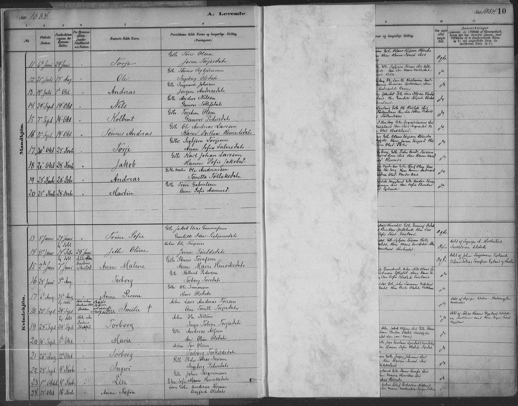 Fjotland sokneprestkontor, AV/SAK-1111-0010/F/Fa/L0002: Ministerialbok nr. A 2, 1880-1898, s. 10