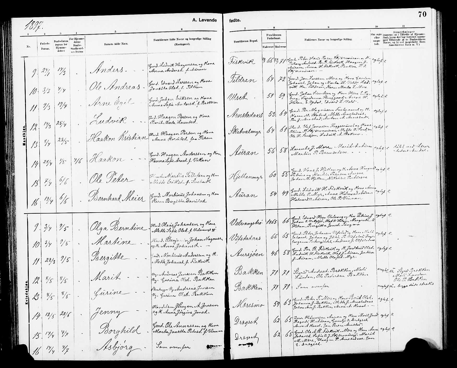 Ministerialprotokoller, klokkerbøker og fødselsregistre - Nord-Trøndelag, SAT/A-1458/712/L0103: Klokkerbok nr. 712C01, 1878-1917, s. 70