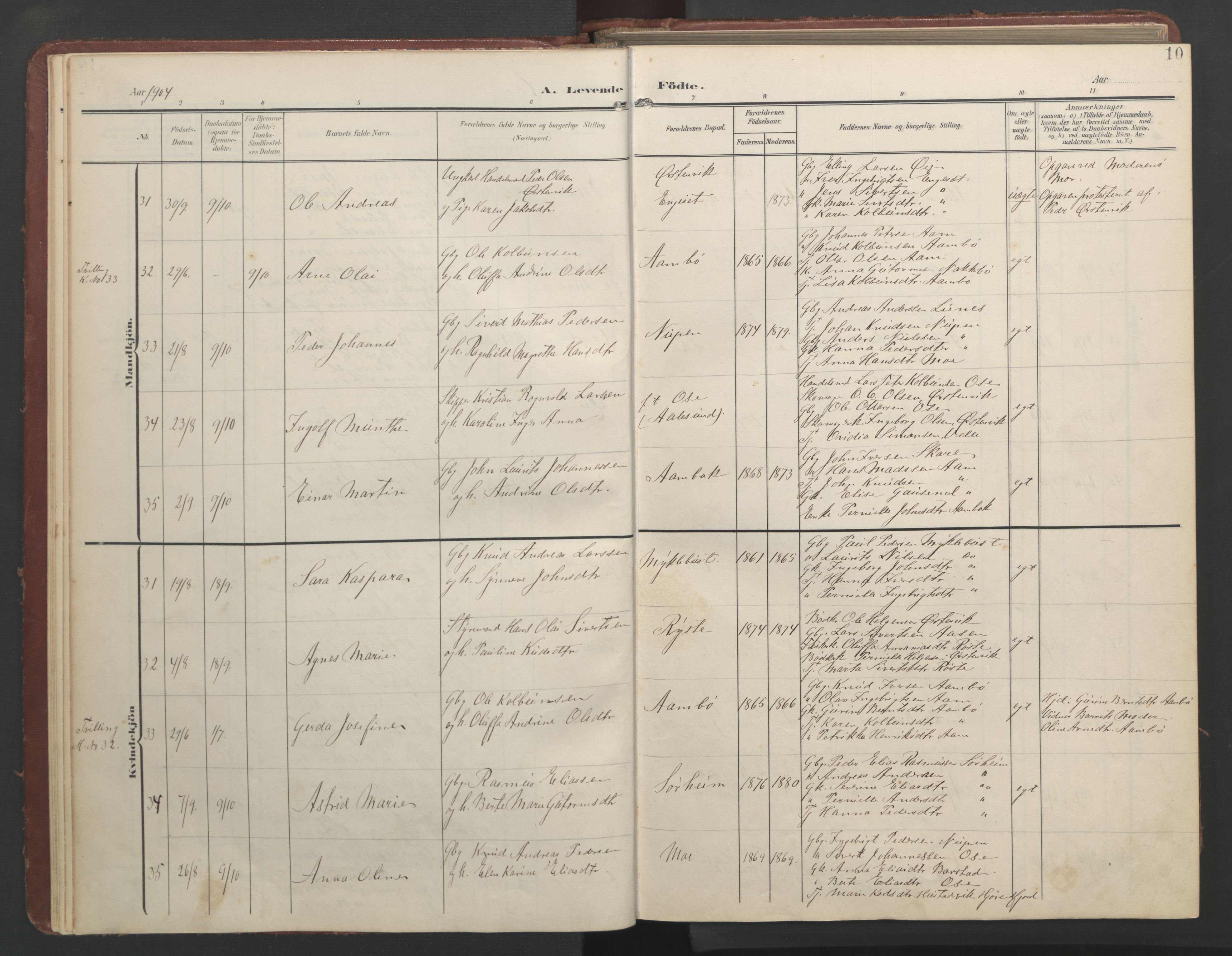 Ministerialprotokoller, klokkerbøker og fødselsregistre - Møre og Romsdal, AV/SAT-A-1454/513/L0190: Klokkerbok nr. 513C04, 1904-1926, s. 10