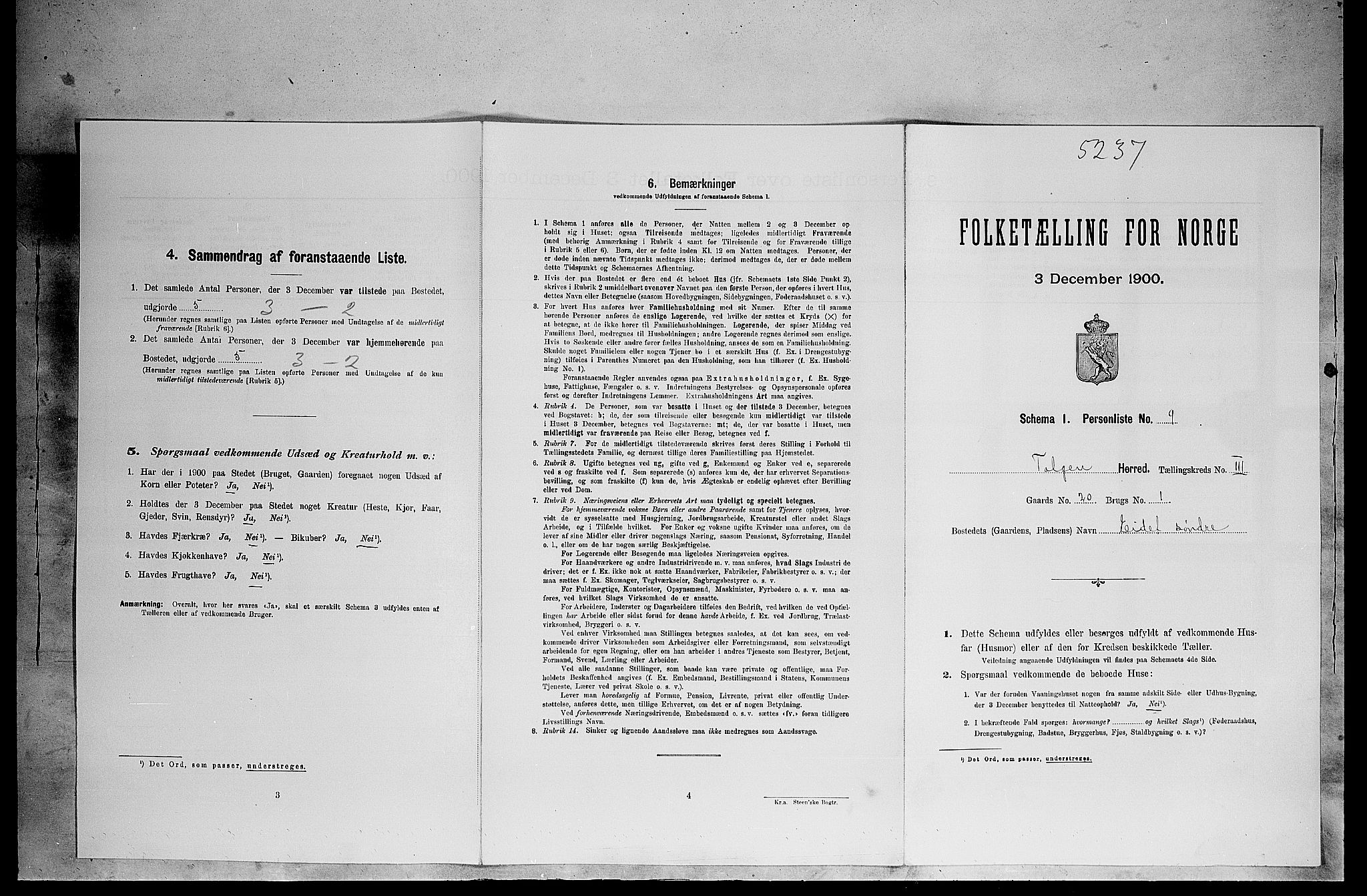 SAH, Folketelling 1900 for 0436 Tolga herred, 1900, s. 314