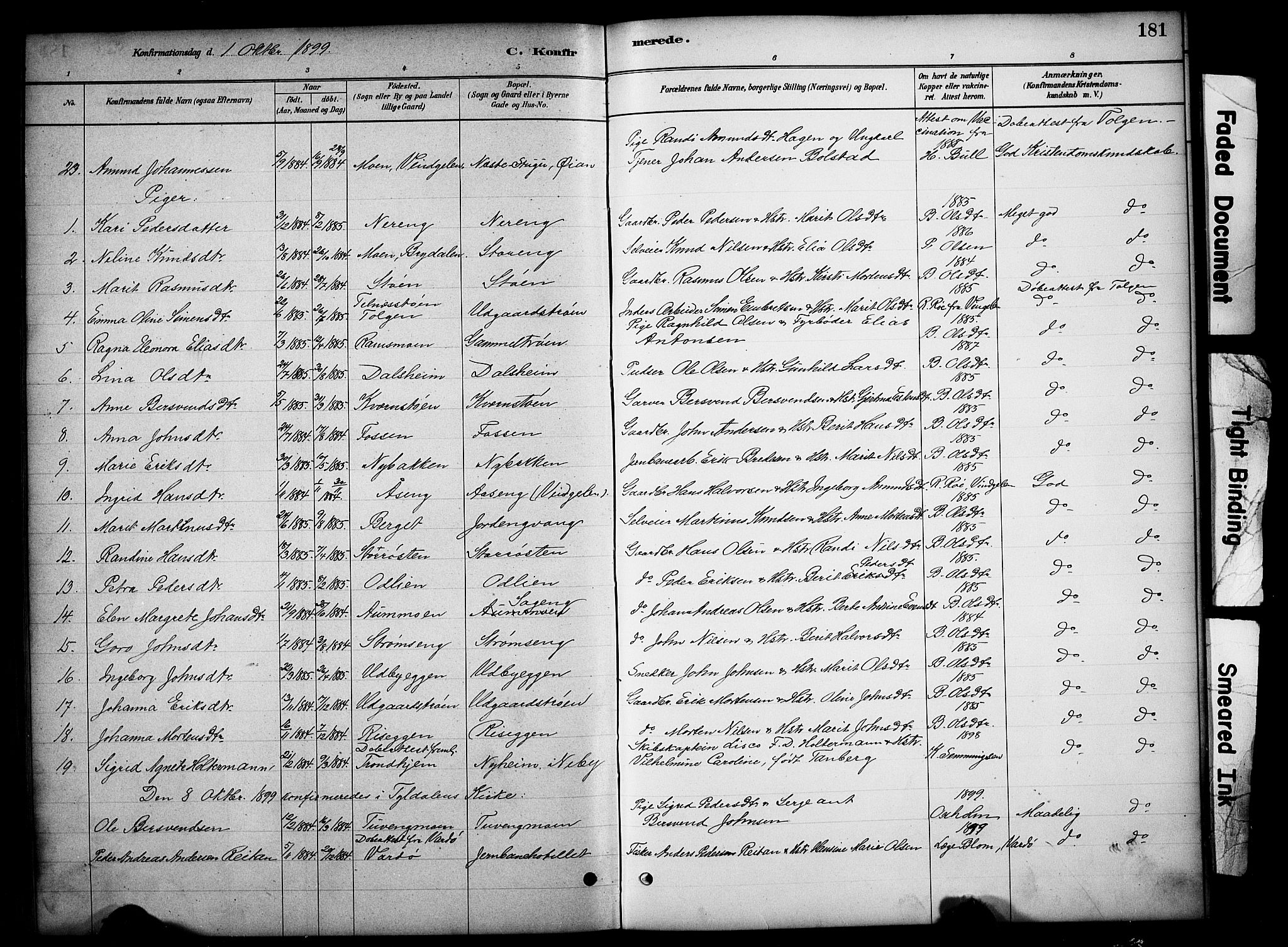 Tynset prestekontor, AV/SAH-PREST-058/H/Ha/Hab/L0006: Klokkerbok nr. 6, 1880-1899, s. 181