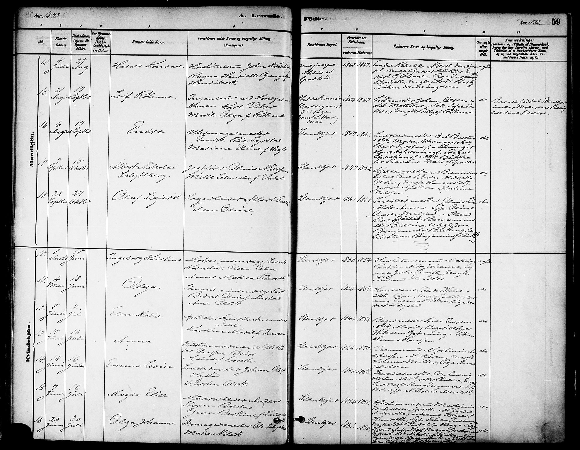 Ministerialprotokoller, klokkerbøker og fødselsregistre - Nord-Trøndelag, AV/SAT-A-1458/739/L0371: Ministerialbok nr. 739A03, 1881-1895, s. 59