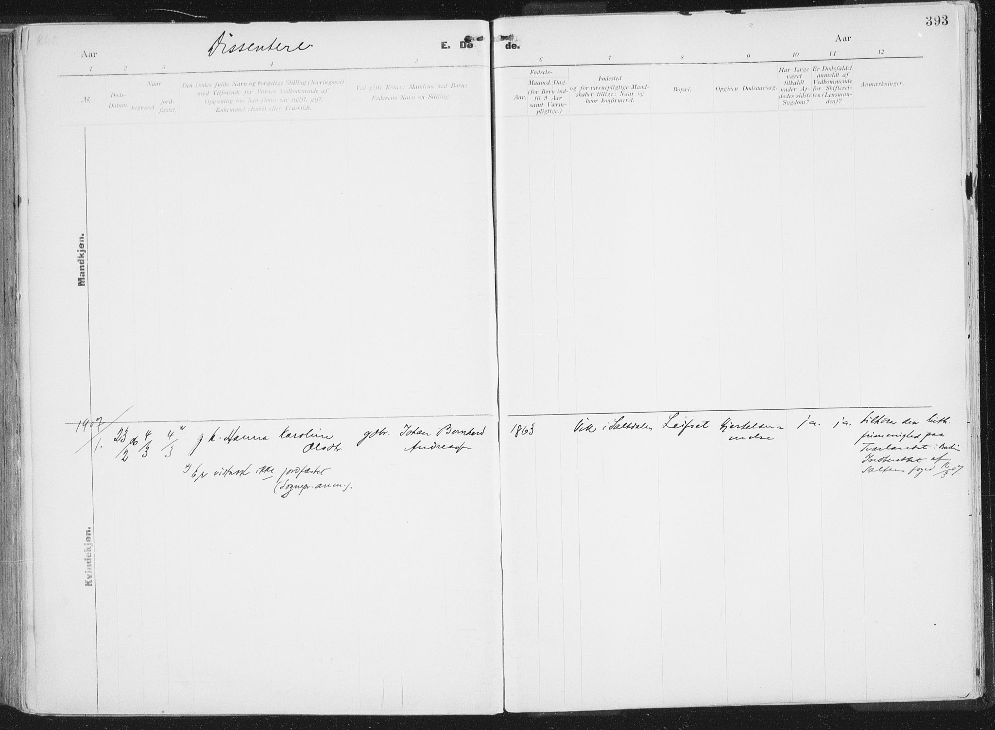 Ministerialprotokoller, klokkerbøker og fødselsregistre - Nordland, AV/SAT-A-1459/849/L0696: Ministerialbok nr. 849A08, 1898-1910, s. 393