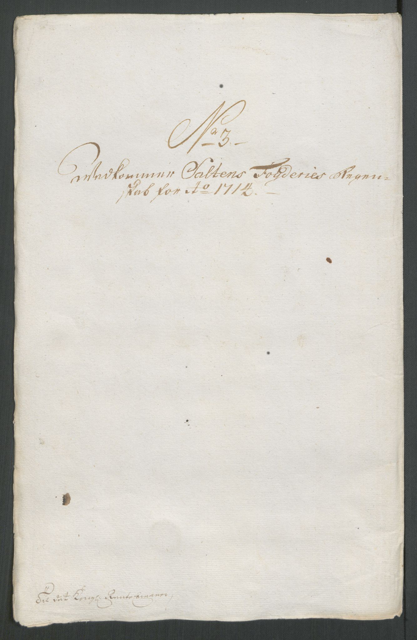 Rentekammeret inntil 1814, Reviderte regnskaper, Fogderegnskap, AV/RA-EA-4092/R66/L4584: Fogderegnskap Salten, 1714, s. 79