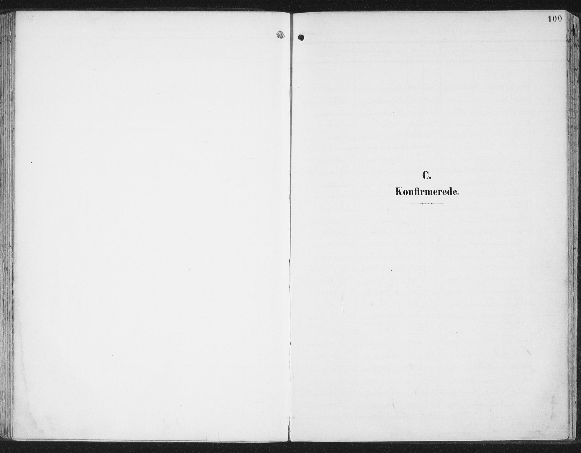 Ministerialprotokoller, klokkerbøker og fødselsregistre - Nord-Trøndelag, SAT/A-1458/786/L0688: Ministerialbok nr. 786A04, 1899-1912, s. 100