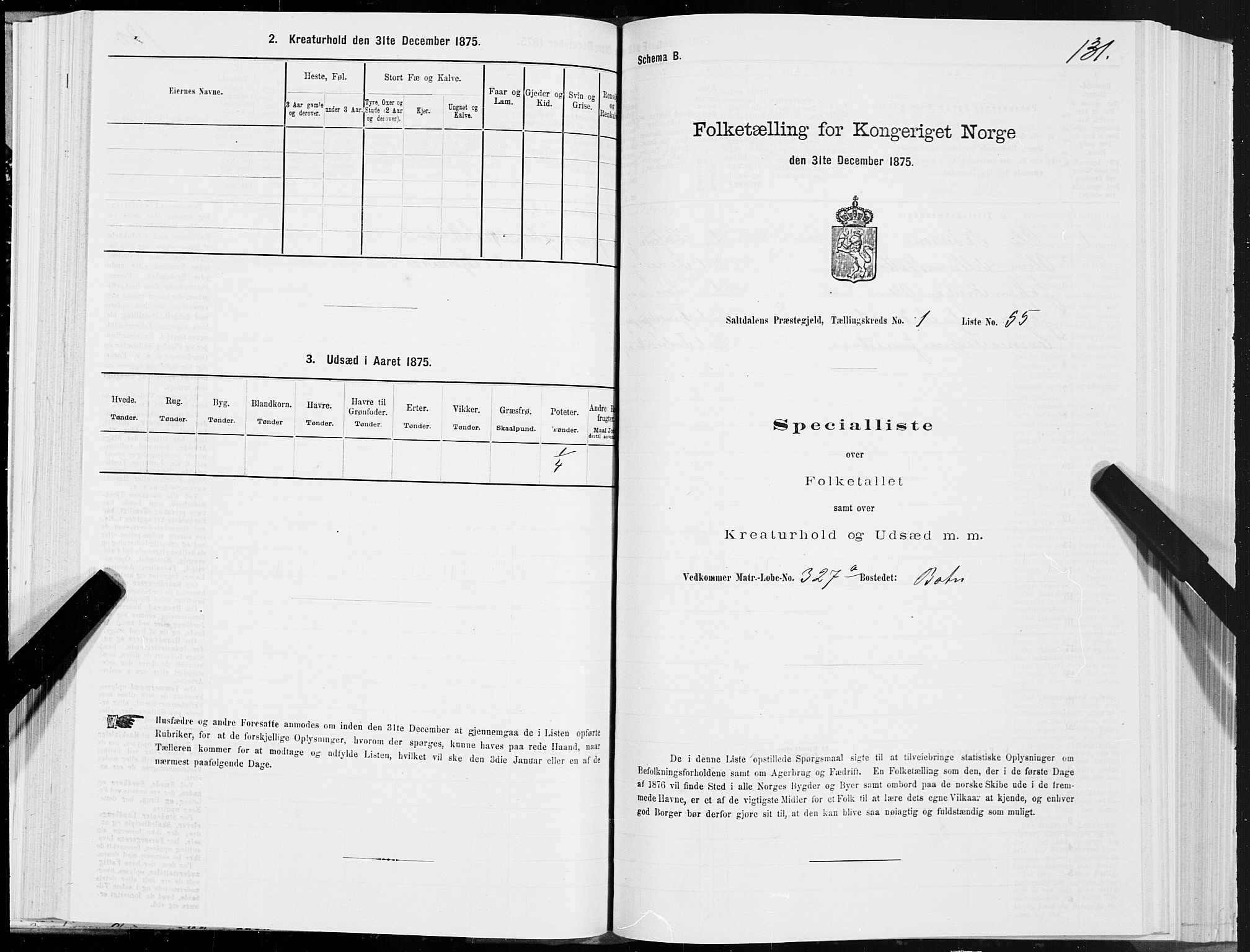 SAT, Folketelling 1875 for 1840P Saltdal prestegjeld, 1875, s. 1131