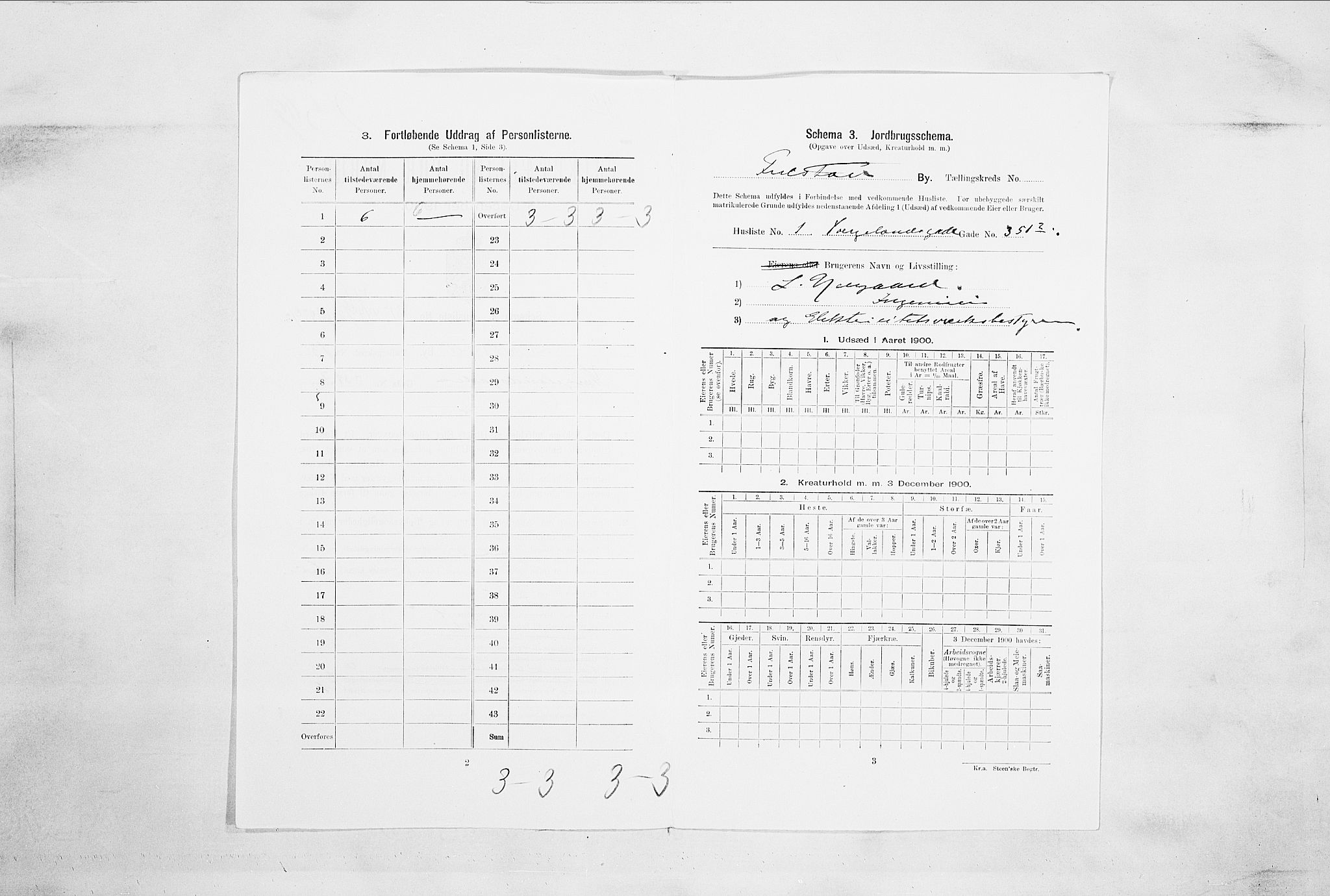 SAO, Folketelling 1900 for 0103 Fredrikstad kjøpstad, 1900