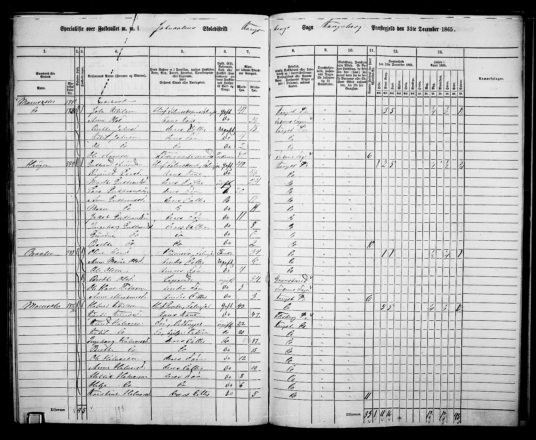 RA, Folketelling 1865 for 0692L Kongsberg prestegjeld, Kongsberg landsokn, 1865, s. 10