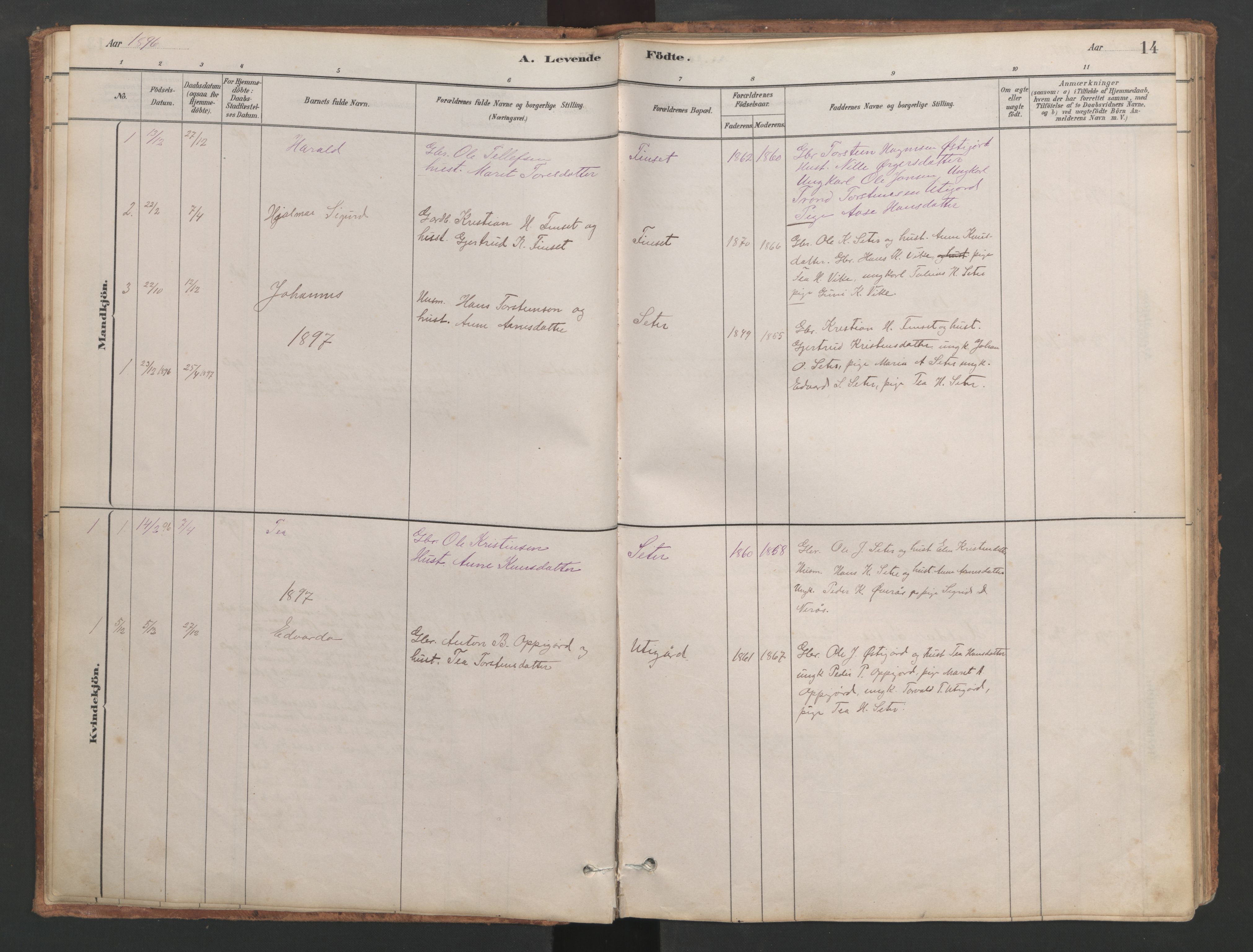 Ministerialprotokoller, klokkerbøker og fødselsregistre - Møre og Romsdal, SAT/A-1454/553/L0642: Klokkerbok nr. 553C01, 1880-1968, s. 14