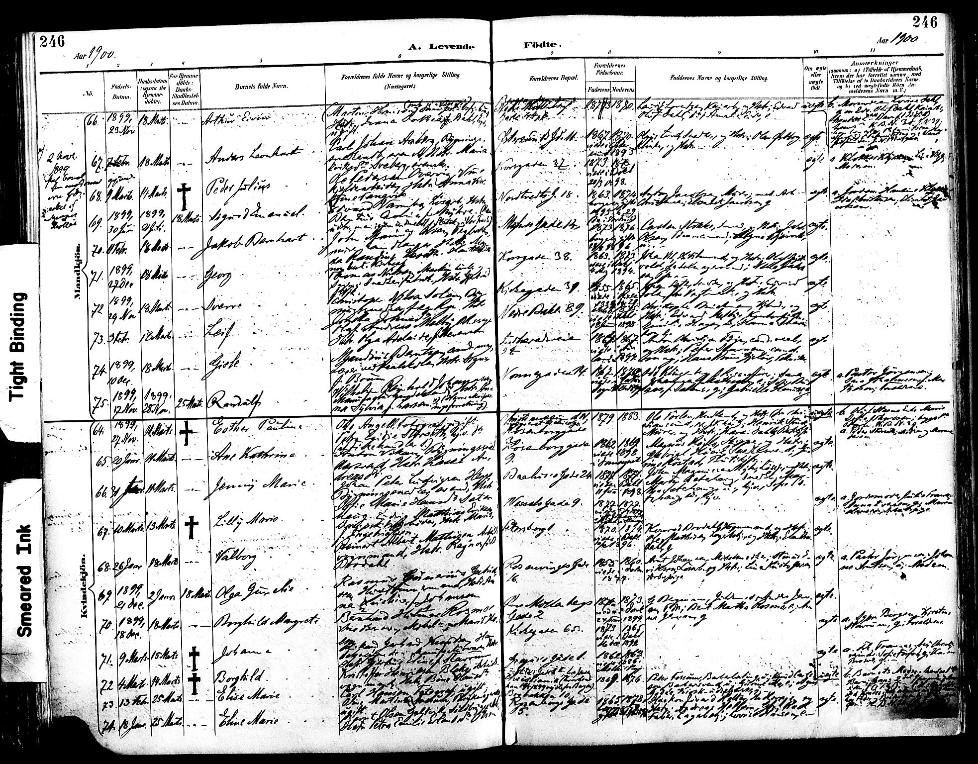 Ministerialprotokoller, klokkerbøker og fødselsregistre - Sør-Trøndelag, AV/SAT-A-1456/604/L0197: Ministerialbok nr. 604A18, 1893-1900, s. 246