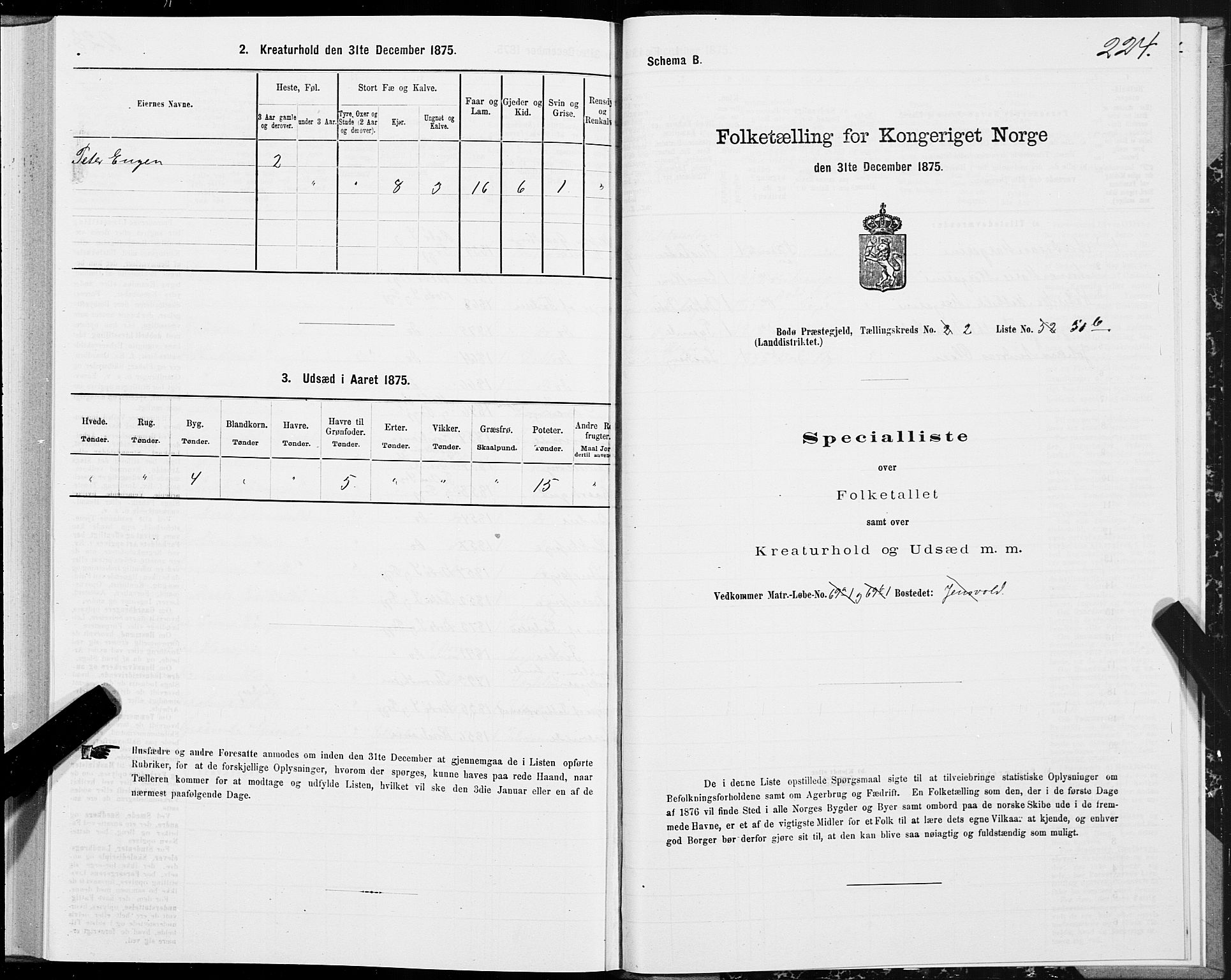 SAT, Folketelling 1875 for 1843L Bodø prestegjeld, Bodø landsokn, 1875, s. 1224