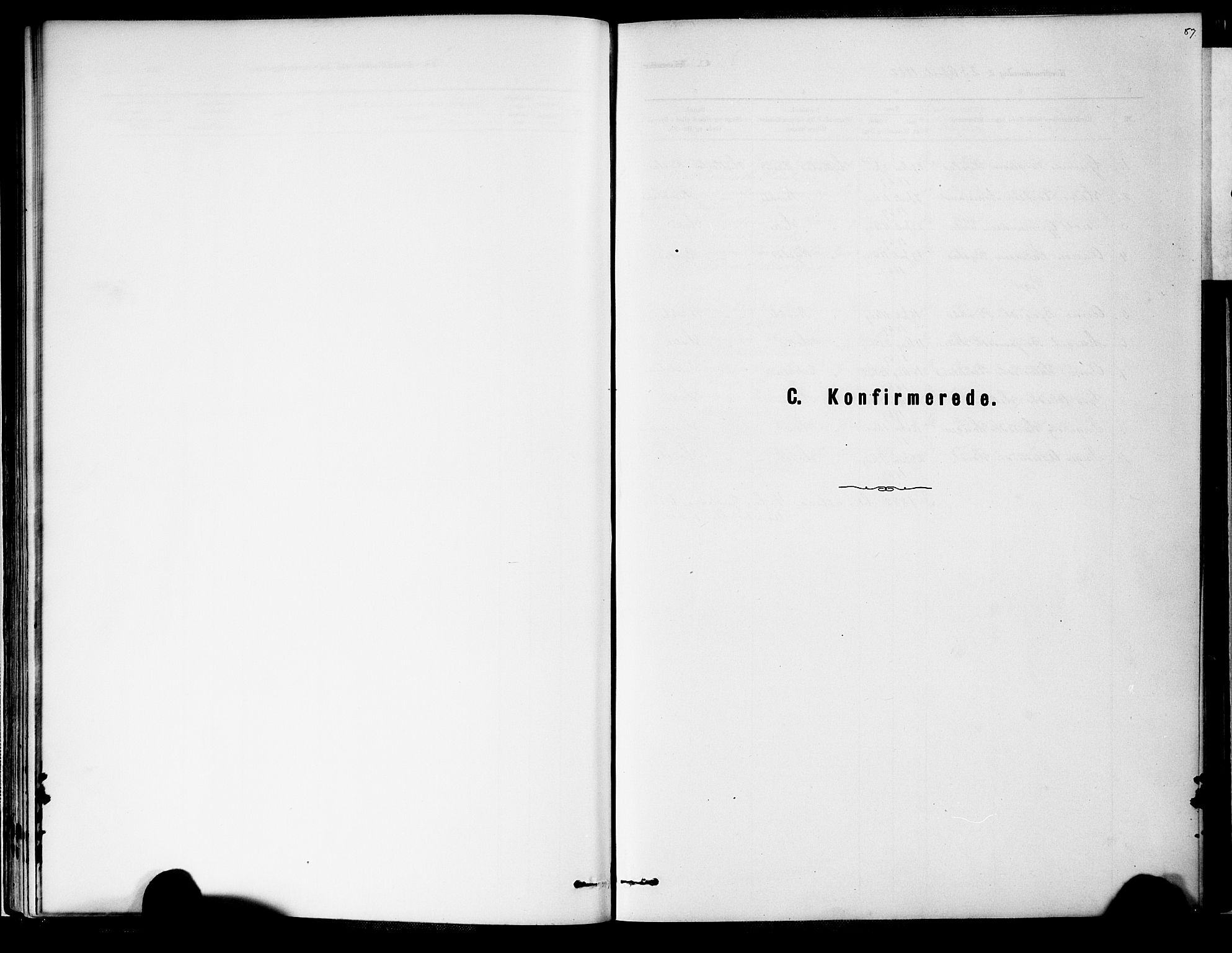 Valle sokneprestkontor, SAK/1111-0044/F/Fa/Fab/L0001: Ministerialbok nr. A 1, 1882-1910, s. 87