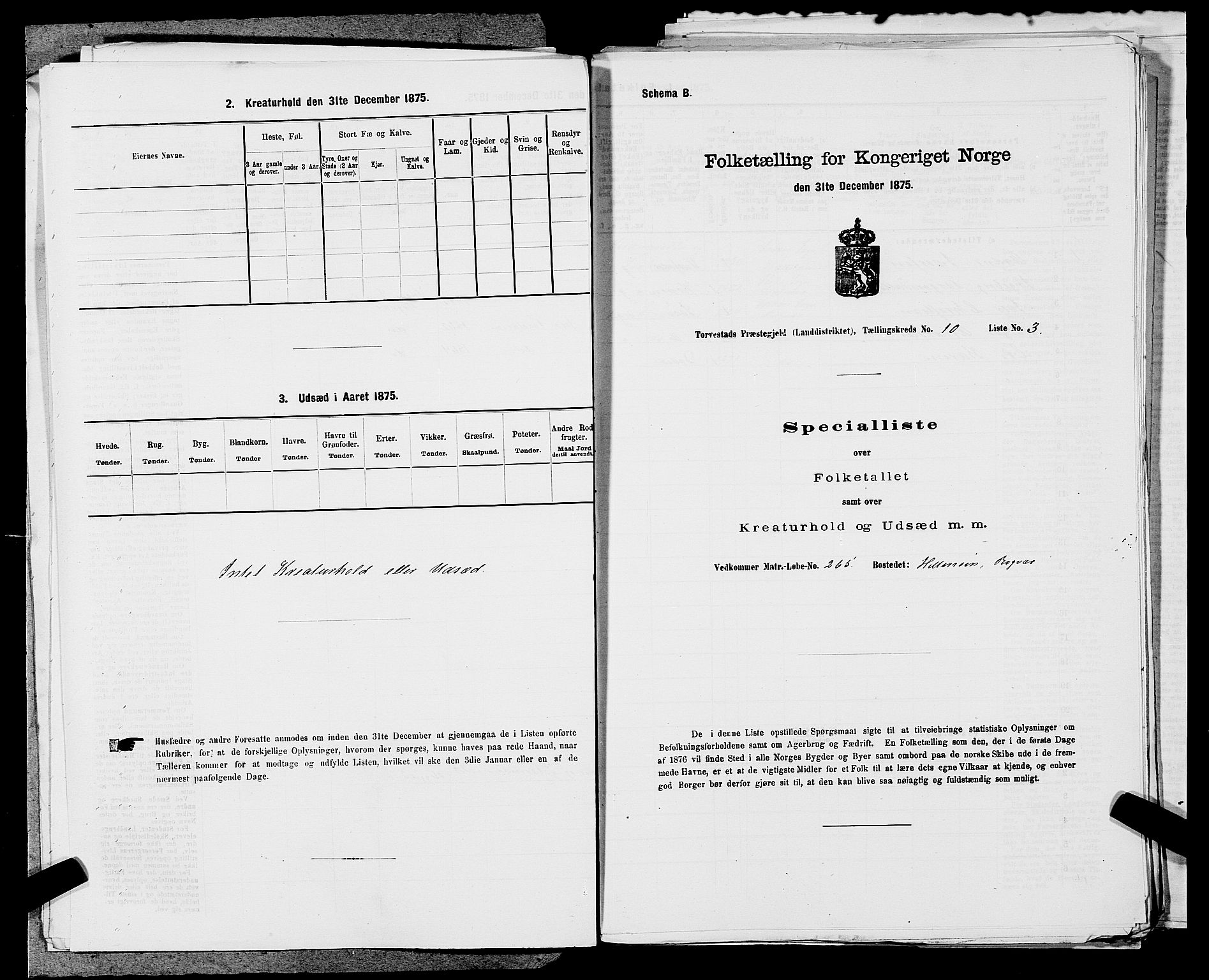 SAST, Folketelling 1875 for 1152L Torvastad prestegjeld, Torvastad sokn, Skåre sokn og Utsira sokn, 1875, s. 1251