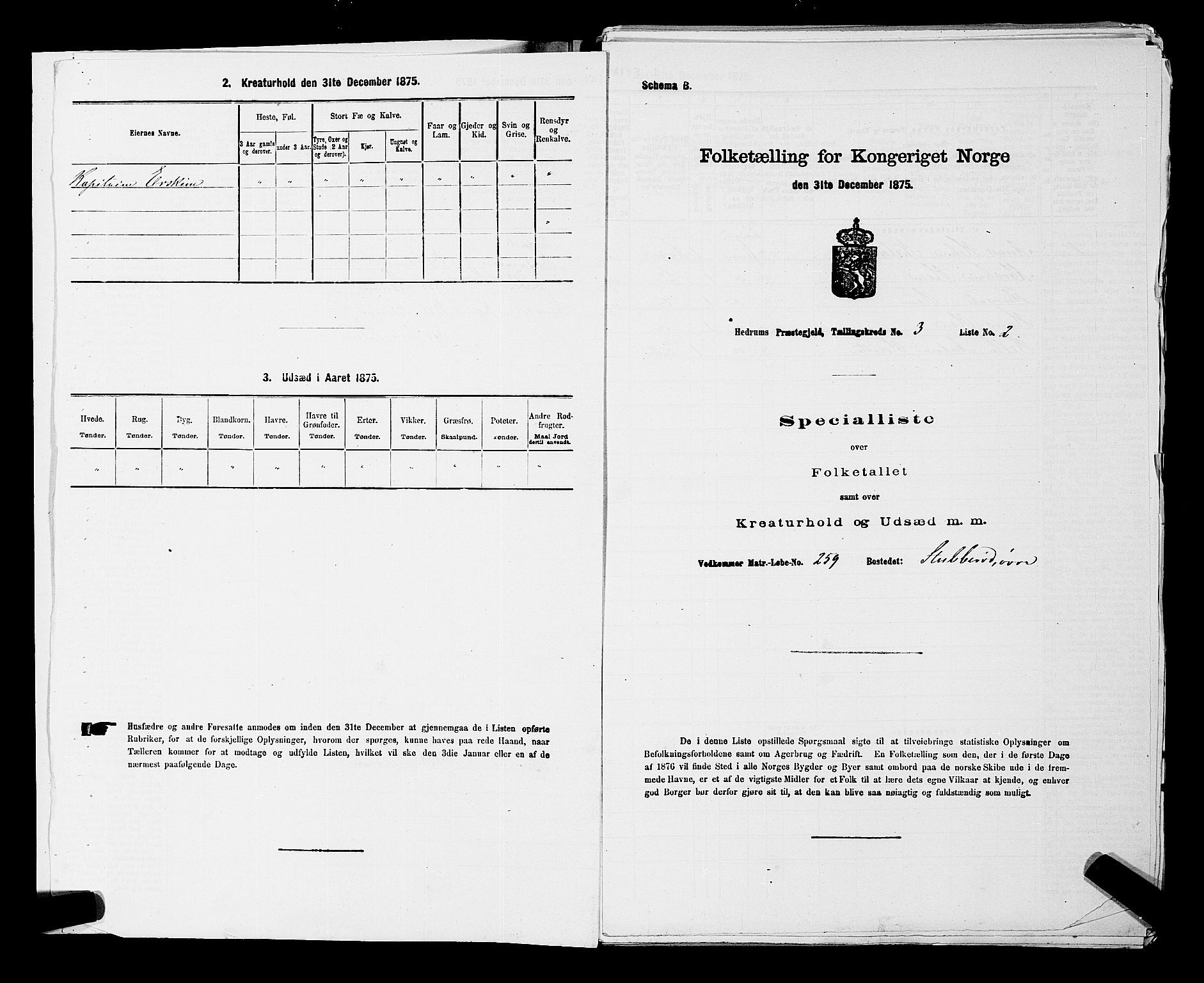 SAKO, Folketelling 1875 for 0727P Hedrum prestegjeld, 1875, s. 217