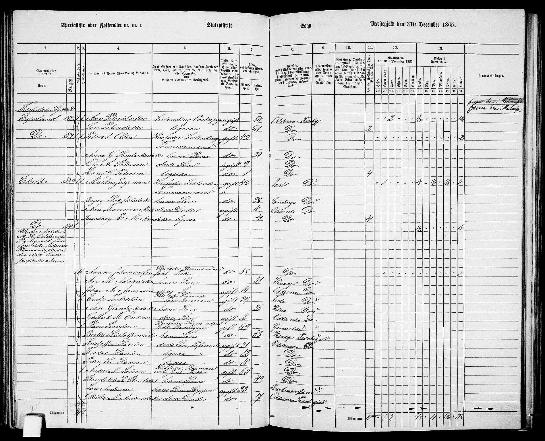 RA, Folketelling 1865 for 1012P Oddernes prestegjeld, 1865, s. 87