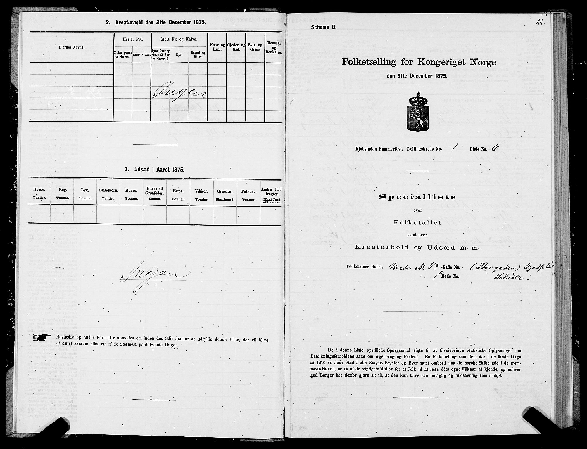 SATØ, Folketelling 1875 for 2001B Hammerfest prestegjeld, Hammerfest kjøpstad, 1875, s. 1011