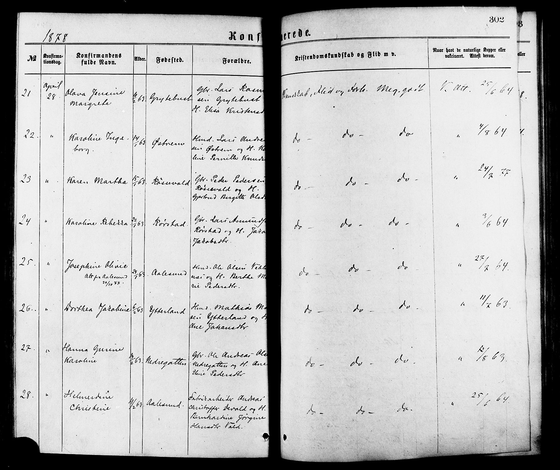 Ministerialprotokoller, klokkerbøker og fødselsregistre - Møre og Romsdal, AV/SAT-A-1454/528/L0400: Ministerialbok nr. 528A11, 1871-1879, s. 302