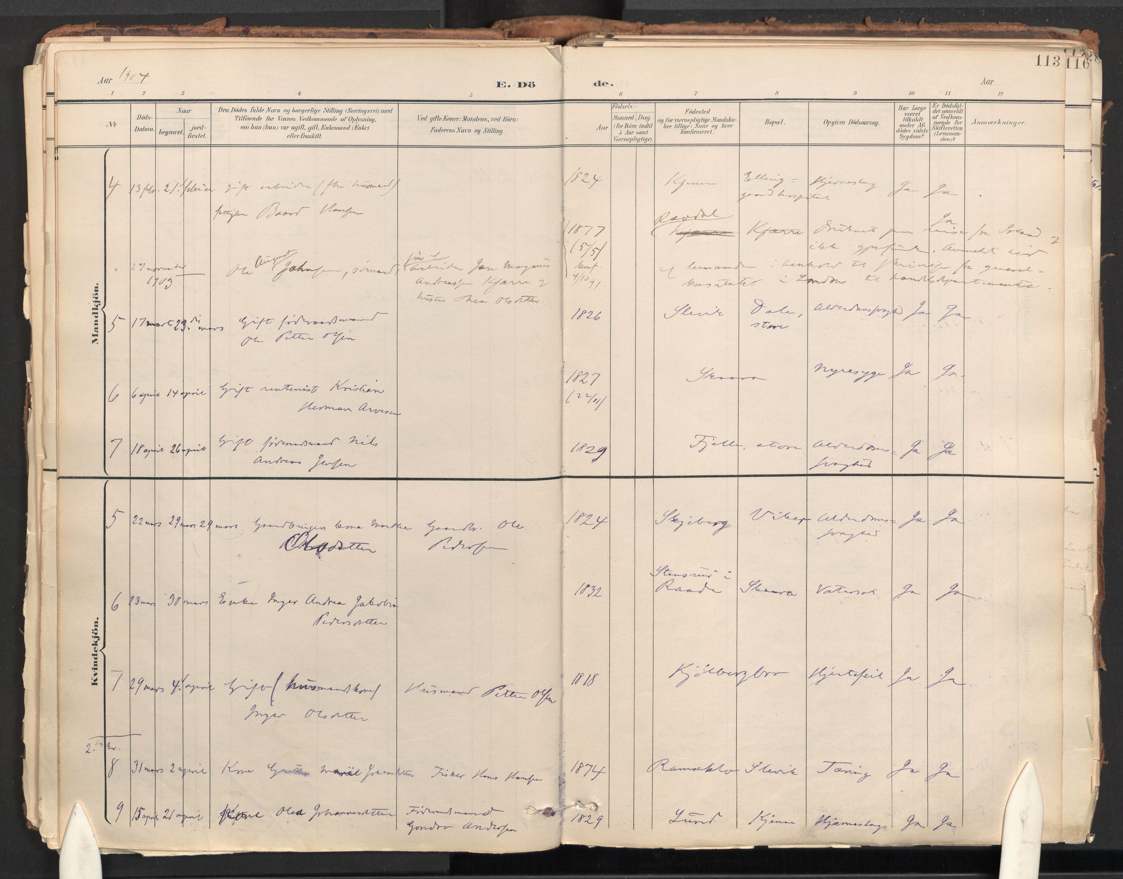 Onsøy prestekontor Kirkebøker, AV/SAO-A-10914/F/Fa/L0009: Ministerialbok nr. I 9, 1899-1966, s. 113