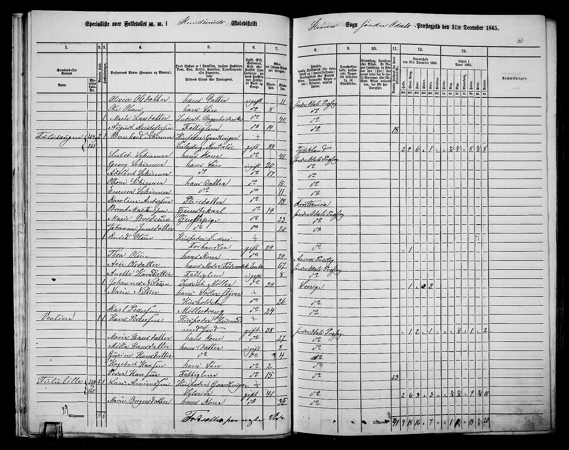 RA, Folketelling 1865 for 0419P Sør-Odal prestegjeld, 1865, s. 19