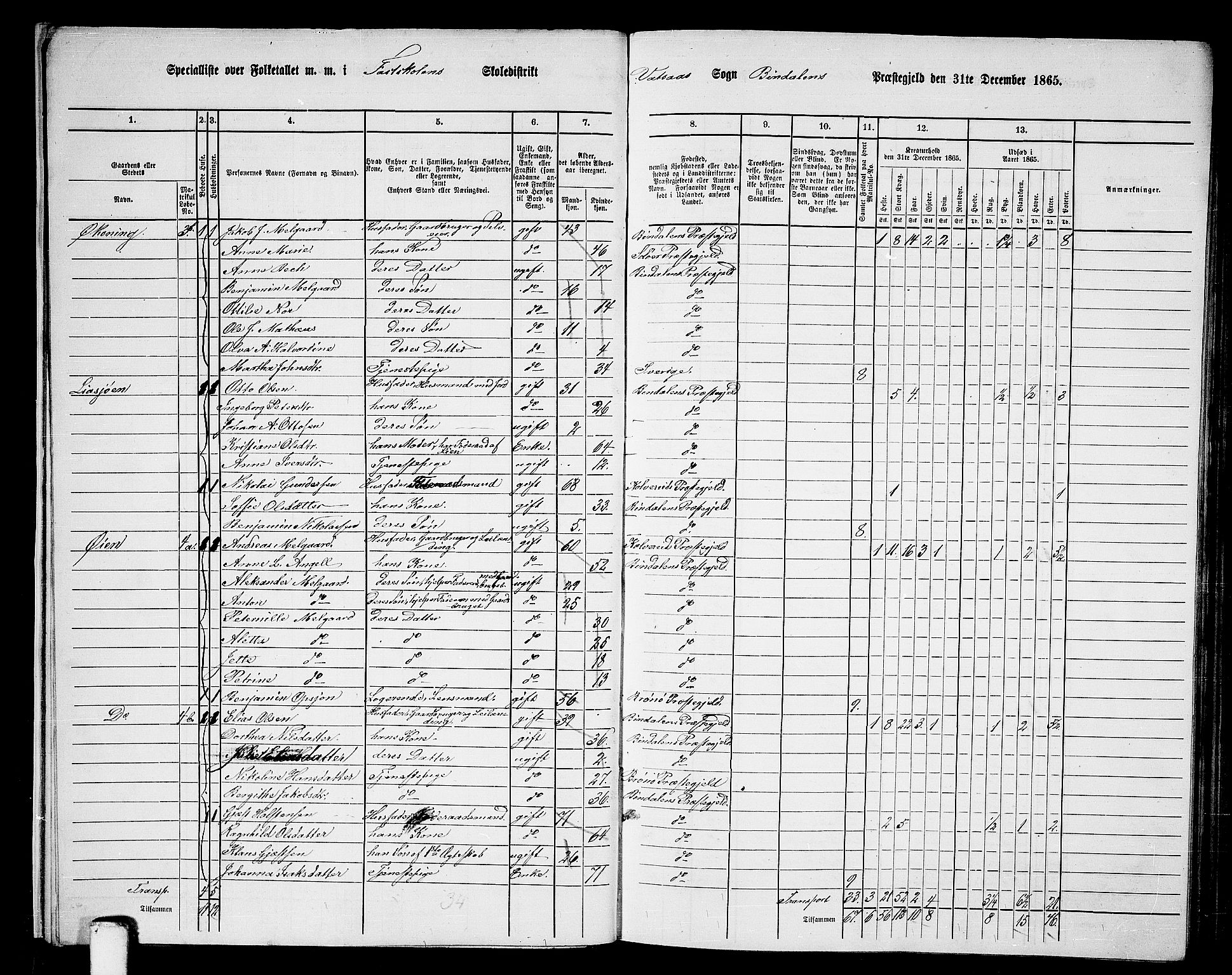 RA, Folketelling 1865 for 1811P Bindal prestegjeld, 1865, s. 11