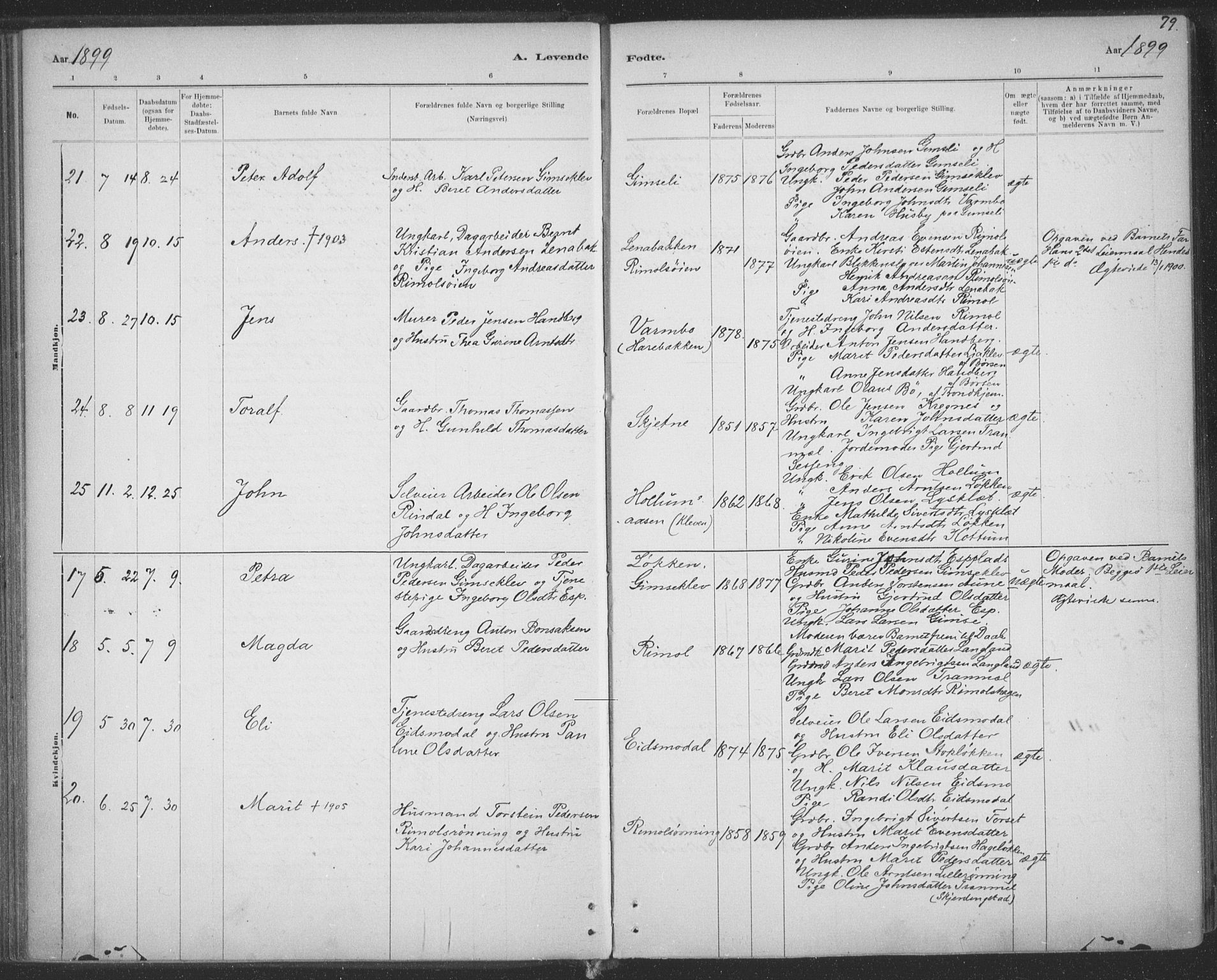 Ministerialprotokoller, klokkerbøker og fødselsregistre - Sør-Trøndelag, AV/SAT-A-1456/691/L1085: Ministerialbok nr. 691A17, 1887-1908, s. 79