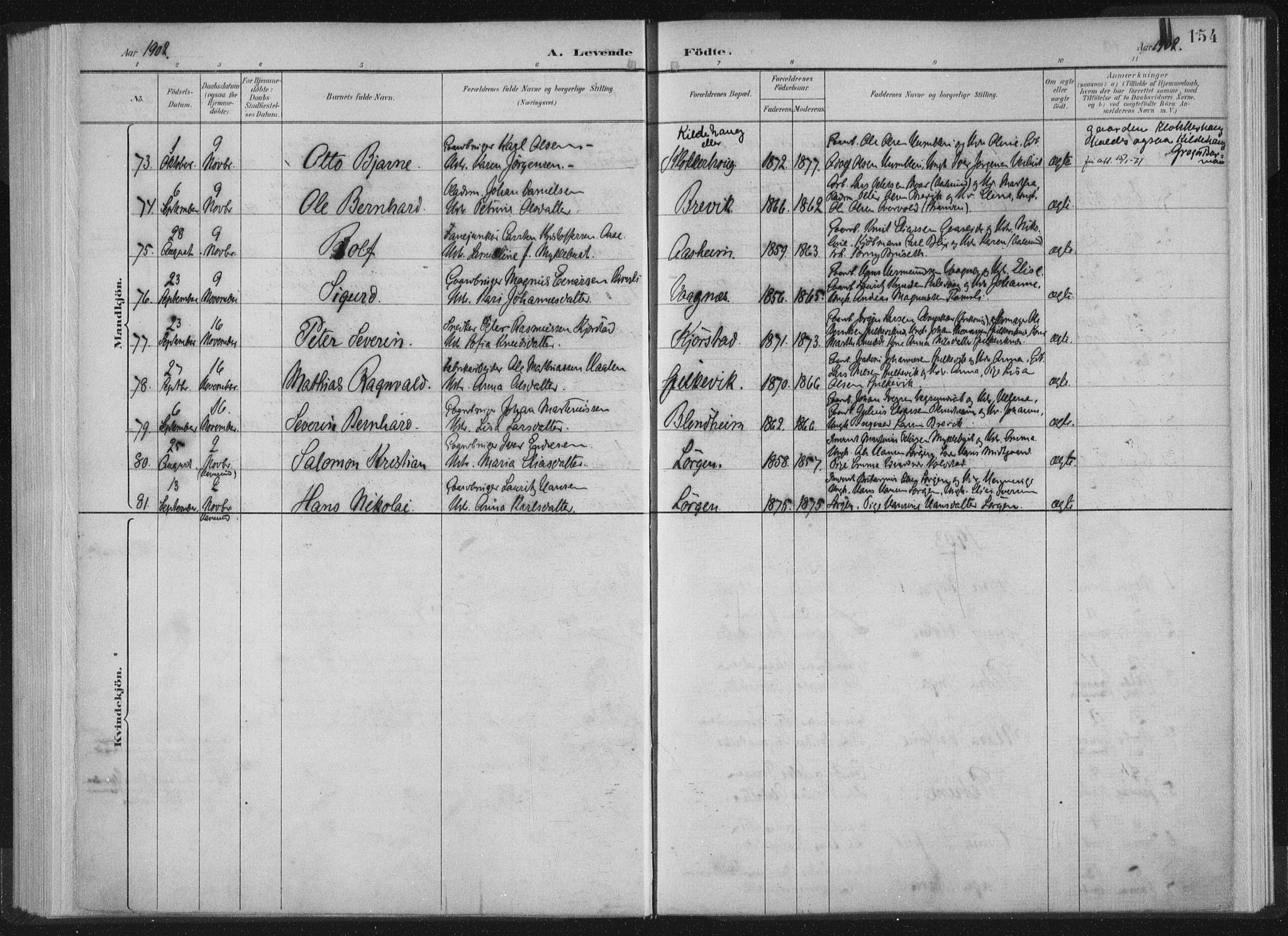 Ministerialprotokoller, klokkerbøker og fødselsregistre - Møre og Romsdal, AV/SAT-A-1454/528/L0405: Ministerialbok nr. 528A14, 1891-1906, s. 154