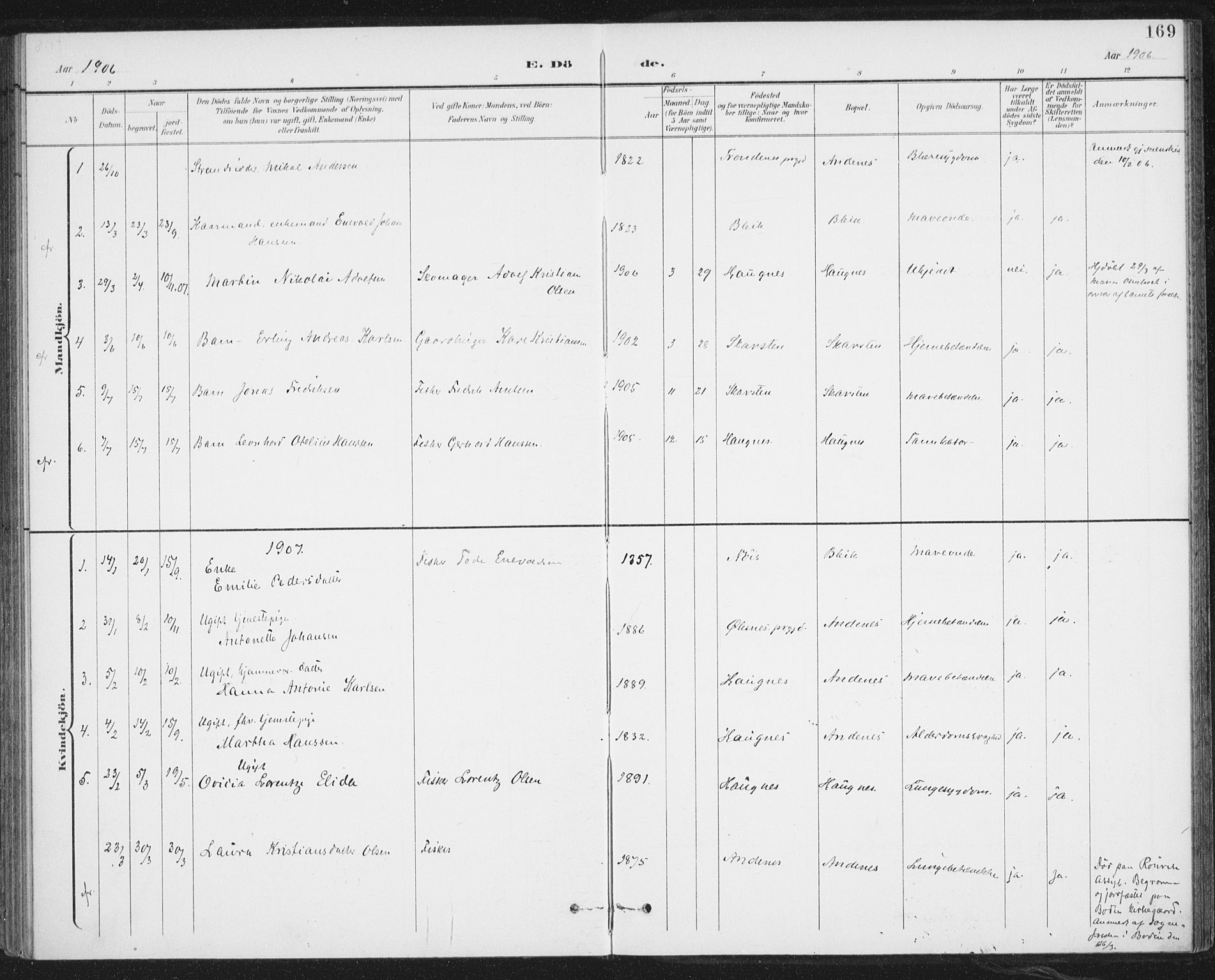 Ministerialprotokoller, klokkerbøker og fødselsregistre - Nordland, AV/SAT-A-1459/899/L1437: Ministerialbok nr. 899A05, 1897-1908, s. 169