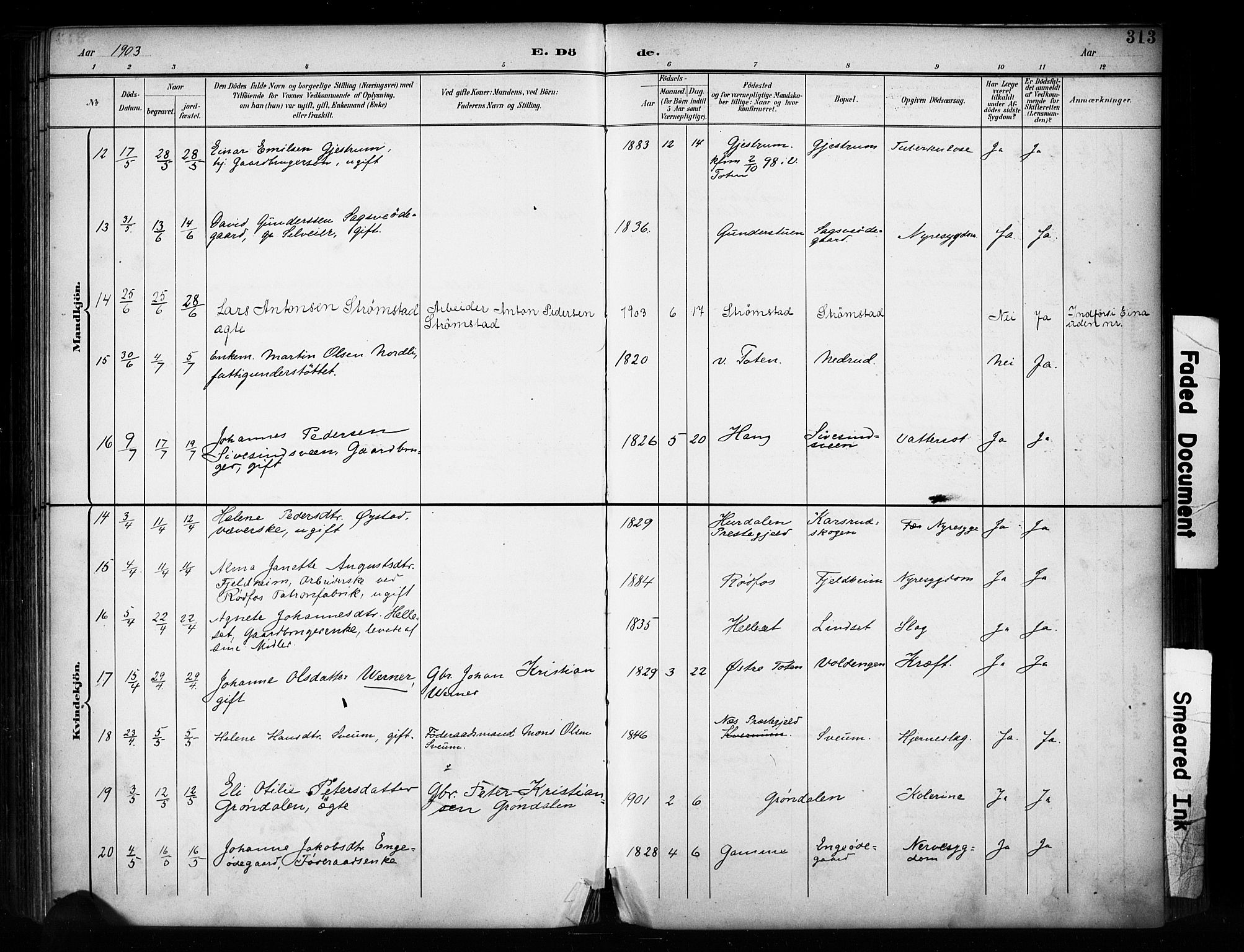 Vestre Toten prestekontor, SAH/PREST-108/H/Ha/Haa/L0011: Ministerialbok nr. 11, 1895-1906, s. 313