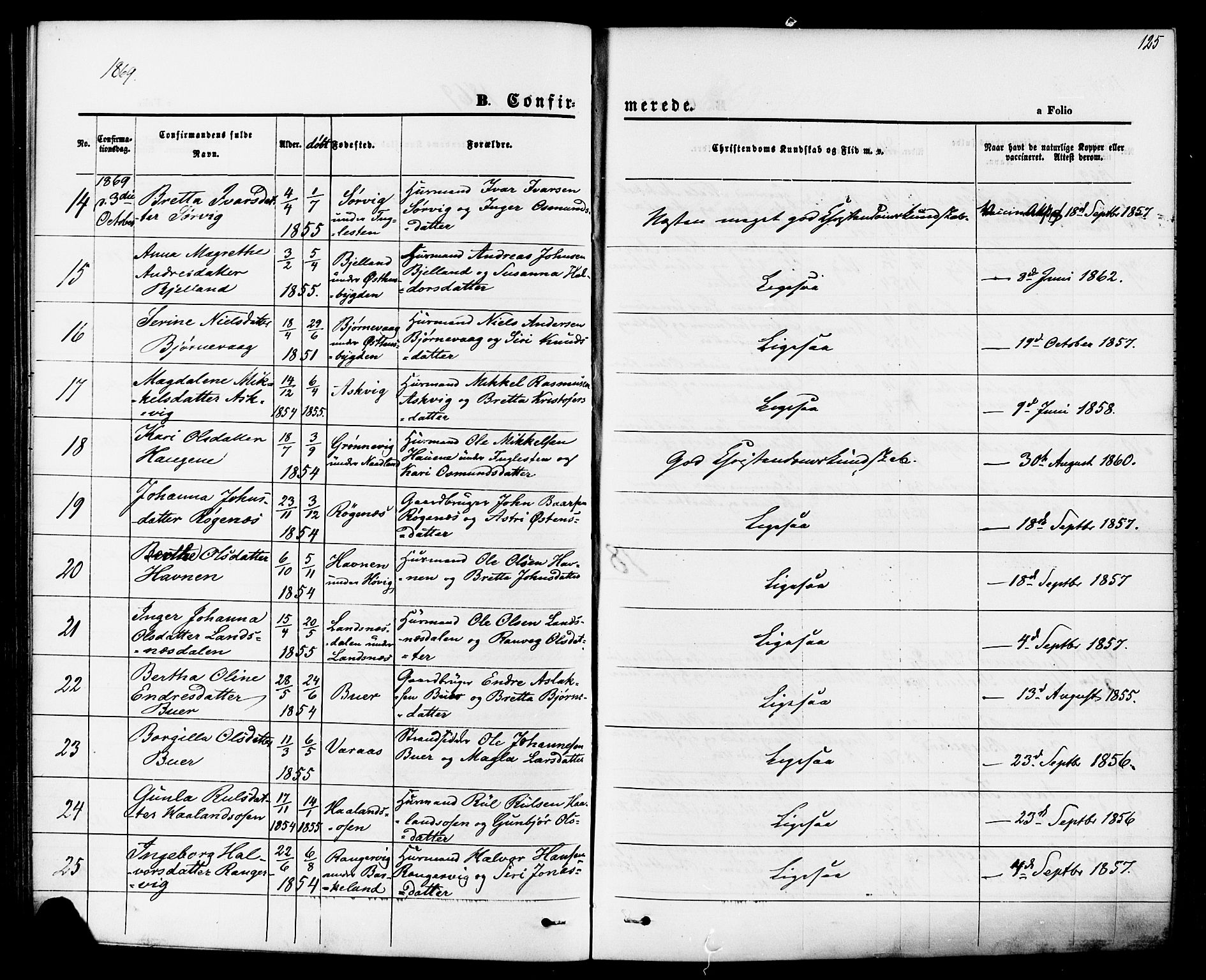 Jelsa sokneprestkontor, AV/SAST-A-101842/01/IV: Ministerialbok nr. A 8, 1867-1883, s. 125