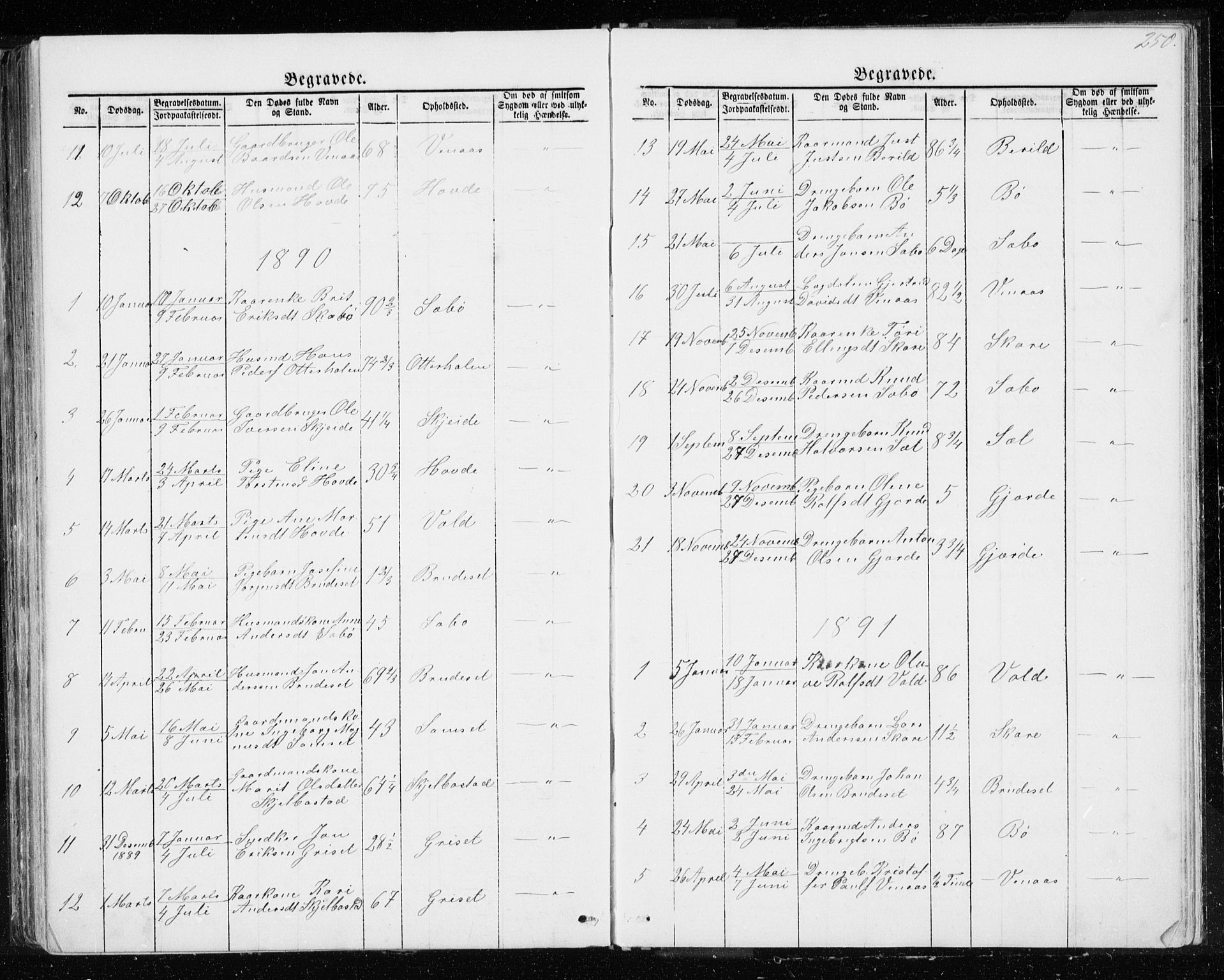 Ministerialprotokoller, klokkerbøker og fødselsregistre - Møre og Romsdal, AV/SAT-A-1454/543/L0564: Klokkerbok nr. 543C02, 1867-1915, s. 250