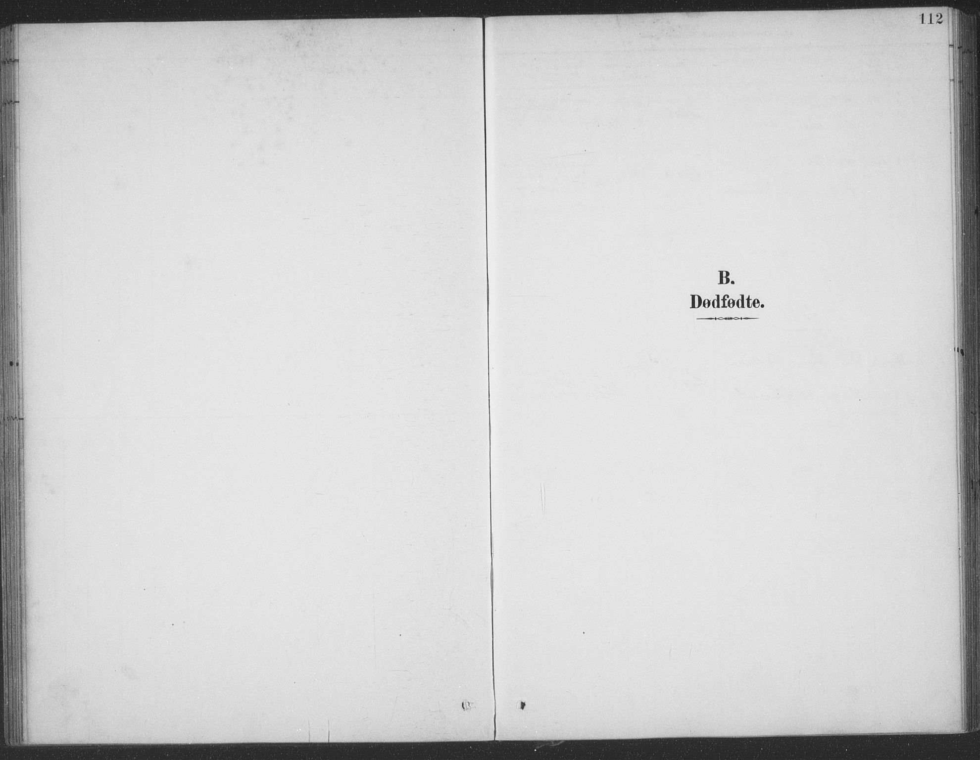 Ministerialprotokoller, klokkerbøker og fødselsregistre - Møre og Romsdal, SAT/A-1454/522/L0316: Ministerialbok nr. 522A11, 1890-1911, s. 112