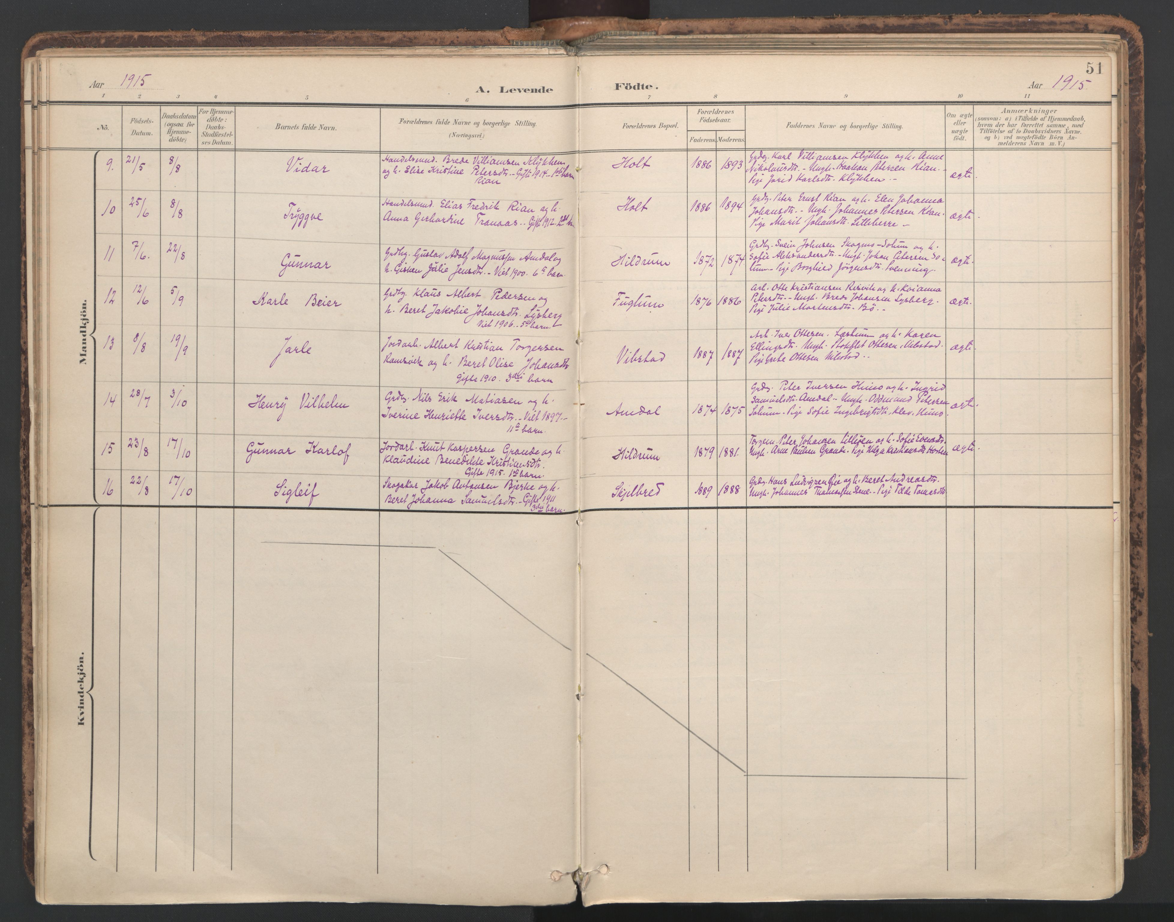 Ministerialprotokoller, klokkerbøker og fødselsregistre - Nord-Trøndelag, AV/SAT-A-1458/764/L0556: Ministerialbok nr. 764A11, 1897-1924, s. 51