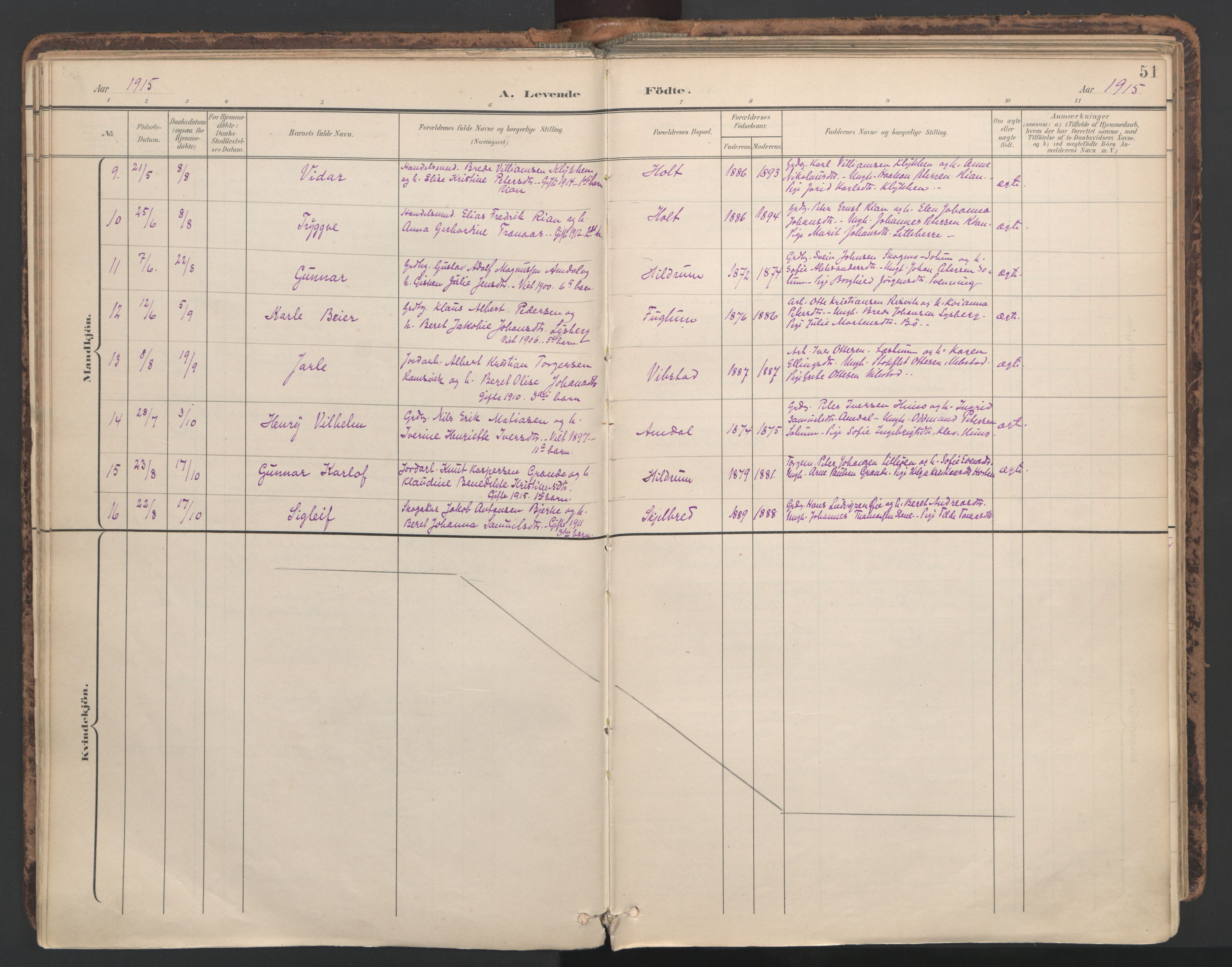 Ministerialprotokoller, klokkerbøker og fødselsregistre - Nord-Trøndelag, SAT/A-1458/764/L0556: Ministerialbok nr. 764A11, 1897-1924, s. 51