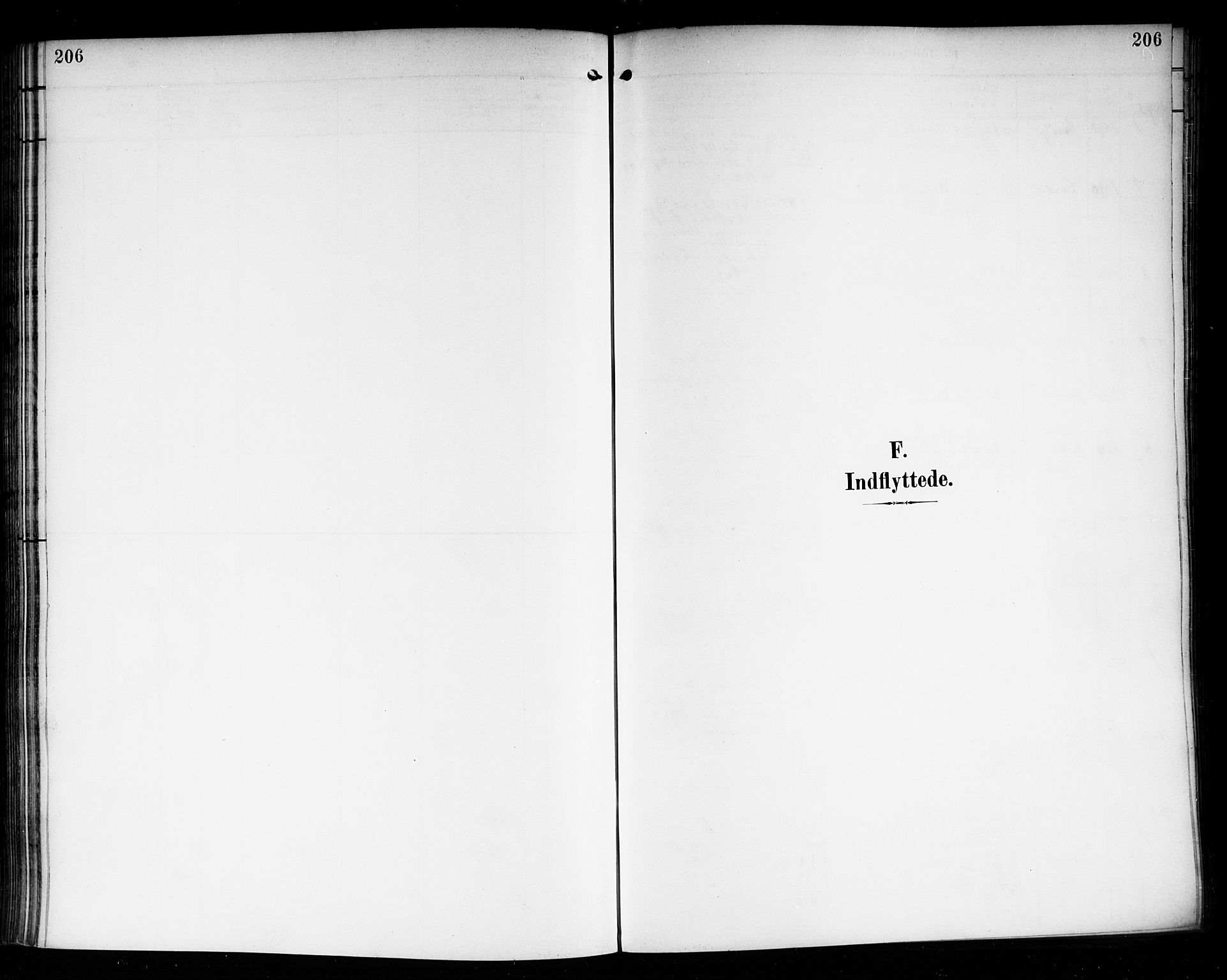 Nedre Eiker kirkebøker, SAKO/A-612/F/Fa/L0004: Ministerialbok nr. 4, 1893-1898, s. 206