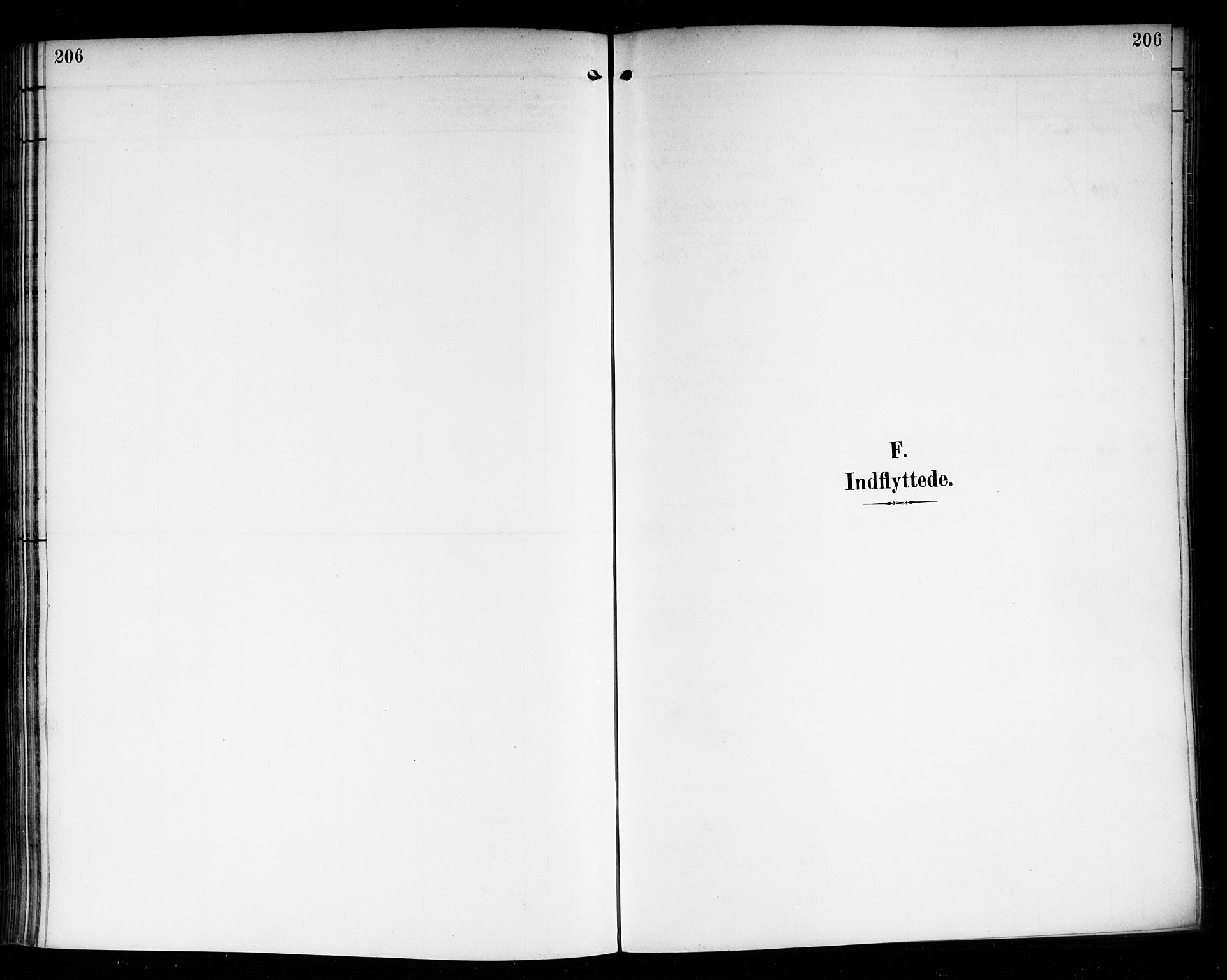 Nedre Eiker kirkebøker, AV/SAKO-A-612/F/Fa/L0004: Ministerialbok nr. 4, 1893-1898, s. 206