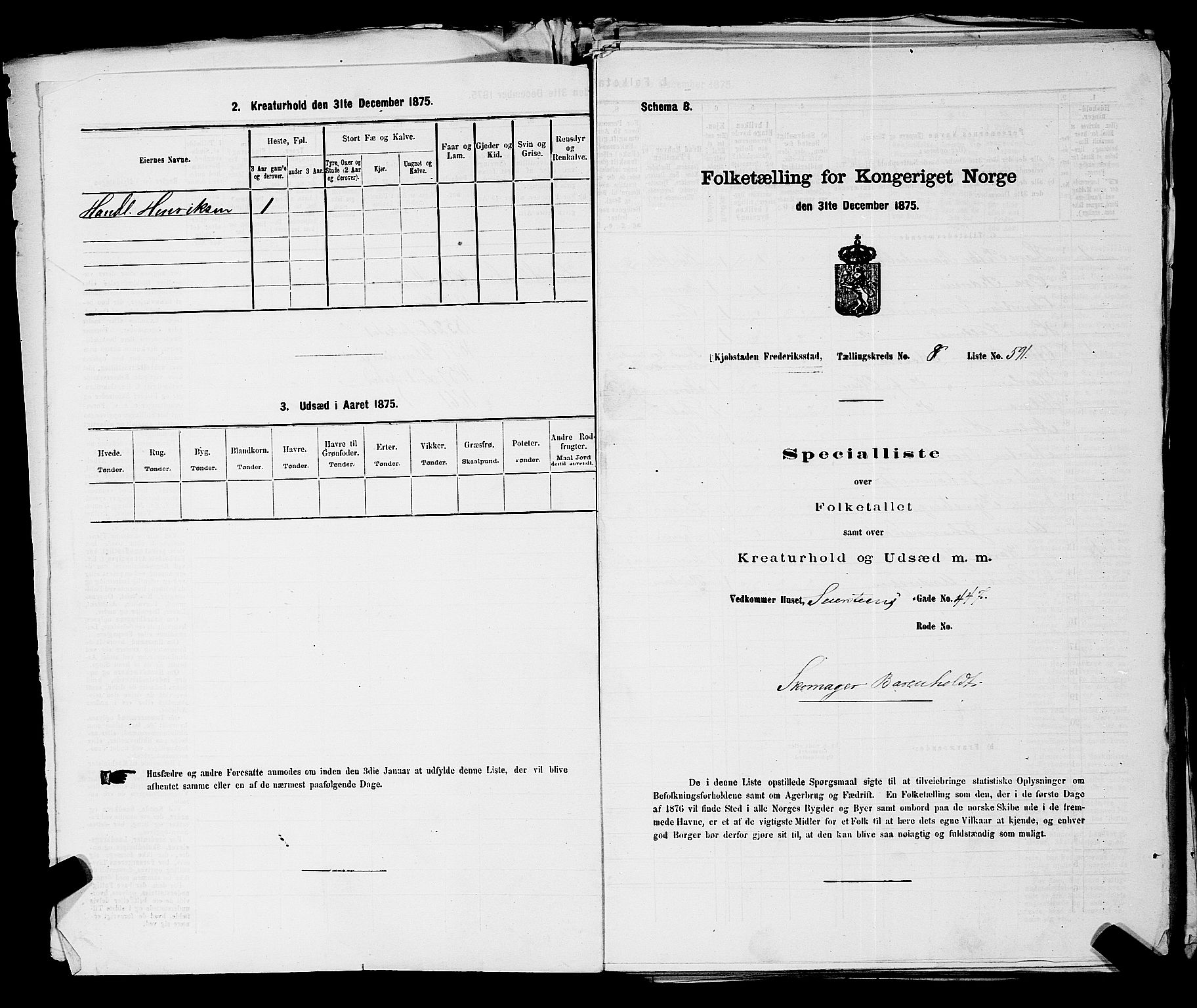 RA, Folketelling 1875 for 0103B Fredrikstad prestegjeld, Fredrikstad kjøpstad, 1875, s. 1348