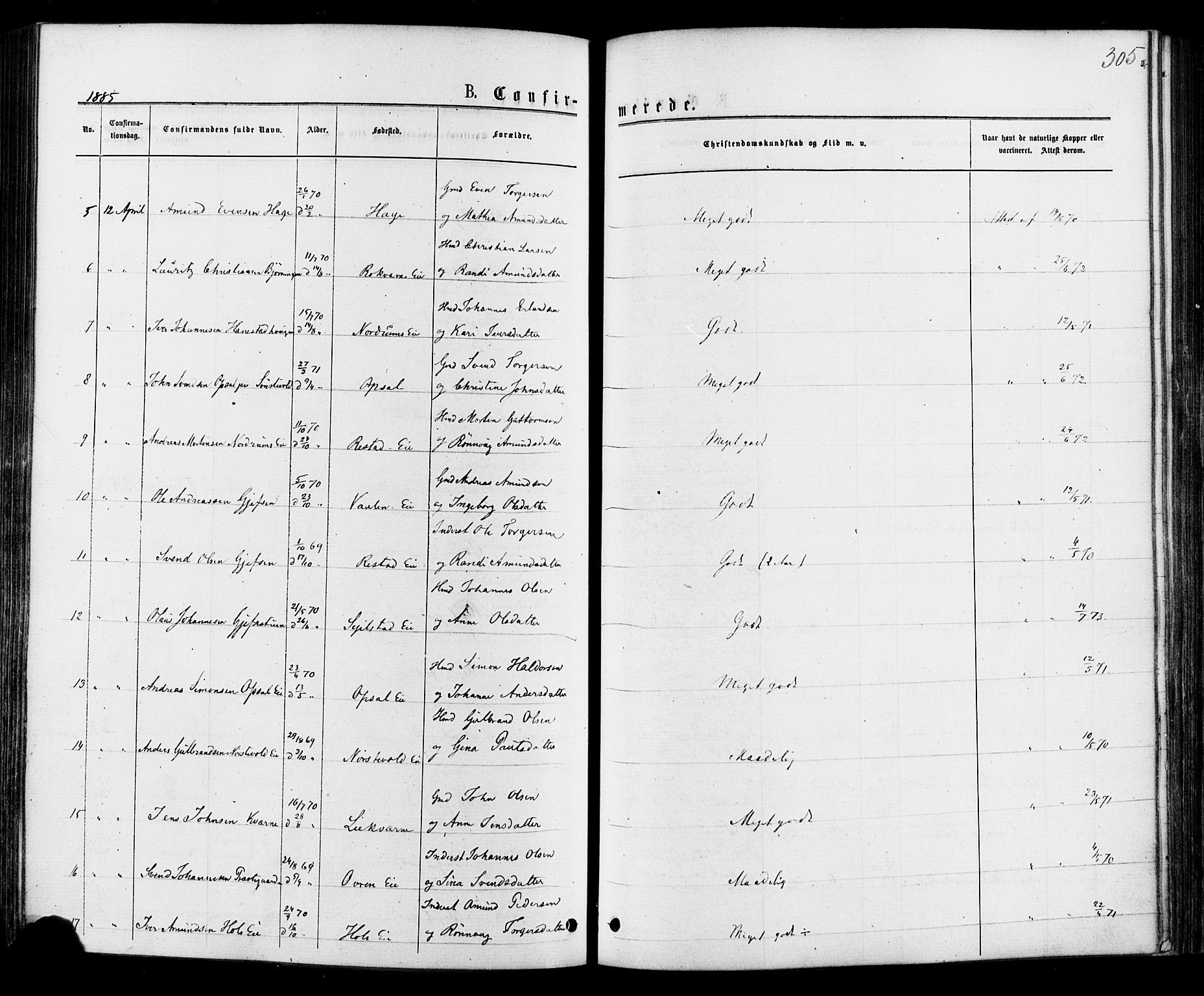 Østre Gausdal prestekontor, AV/SAH-PREST-092/H/Ha/Haa/L0001: Ministerialbok nr. 1, 1874-1886, s. 305