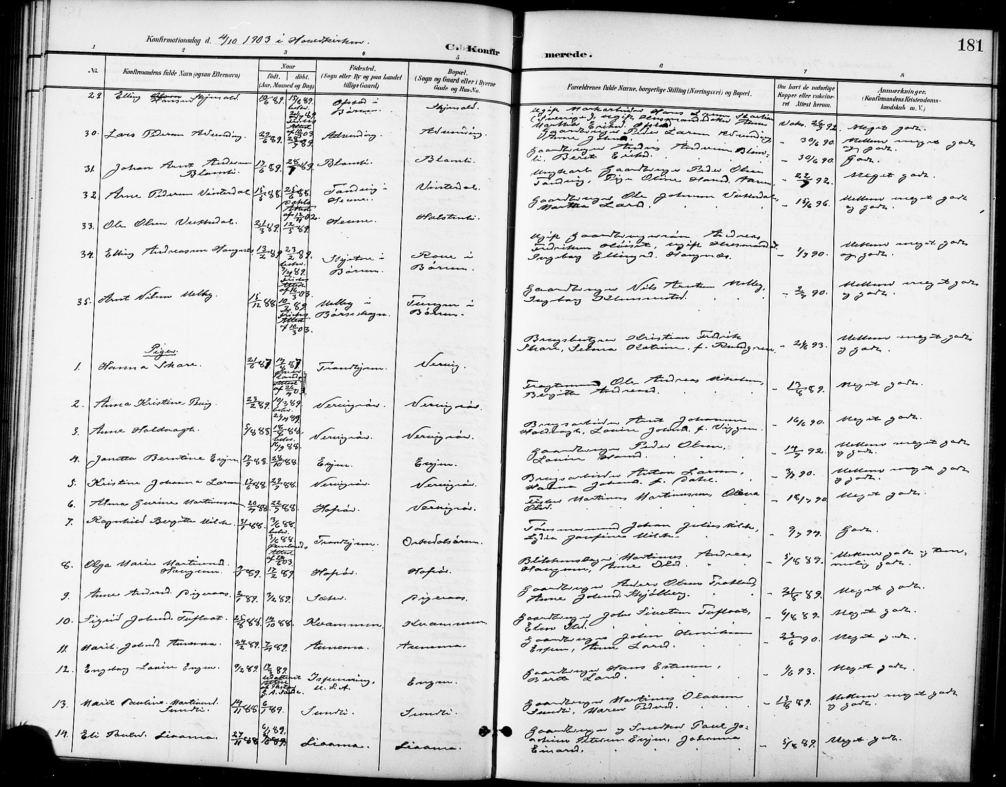 Ministerialprotokoller, klokkerbøker og fødselsregistre - Sør-Trøndelag, SAT/A-1456/668/L0819: Klokkerbok nr. 668C08, 1899-1912, s. 181
