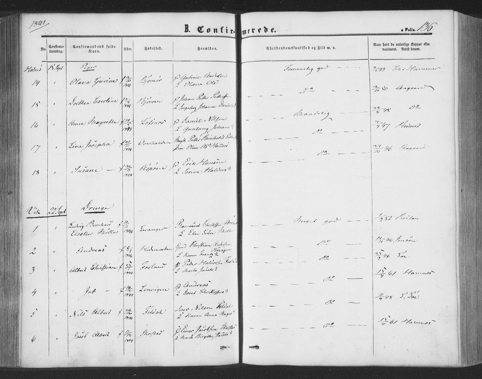 Ministerialprotokoller, klokkerbøker og fødselsregistre - Nord-Trøndelag, AV/SAT-A-1458/773/L0615: Ministerialbok nr. 773A06, 1857-1870, s. 136