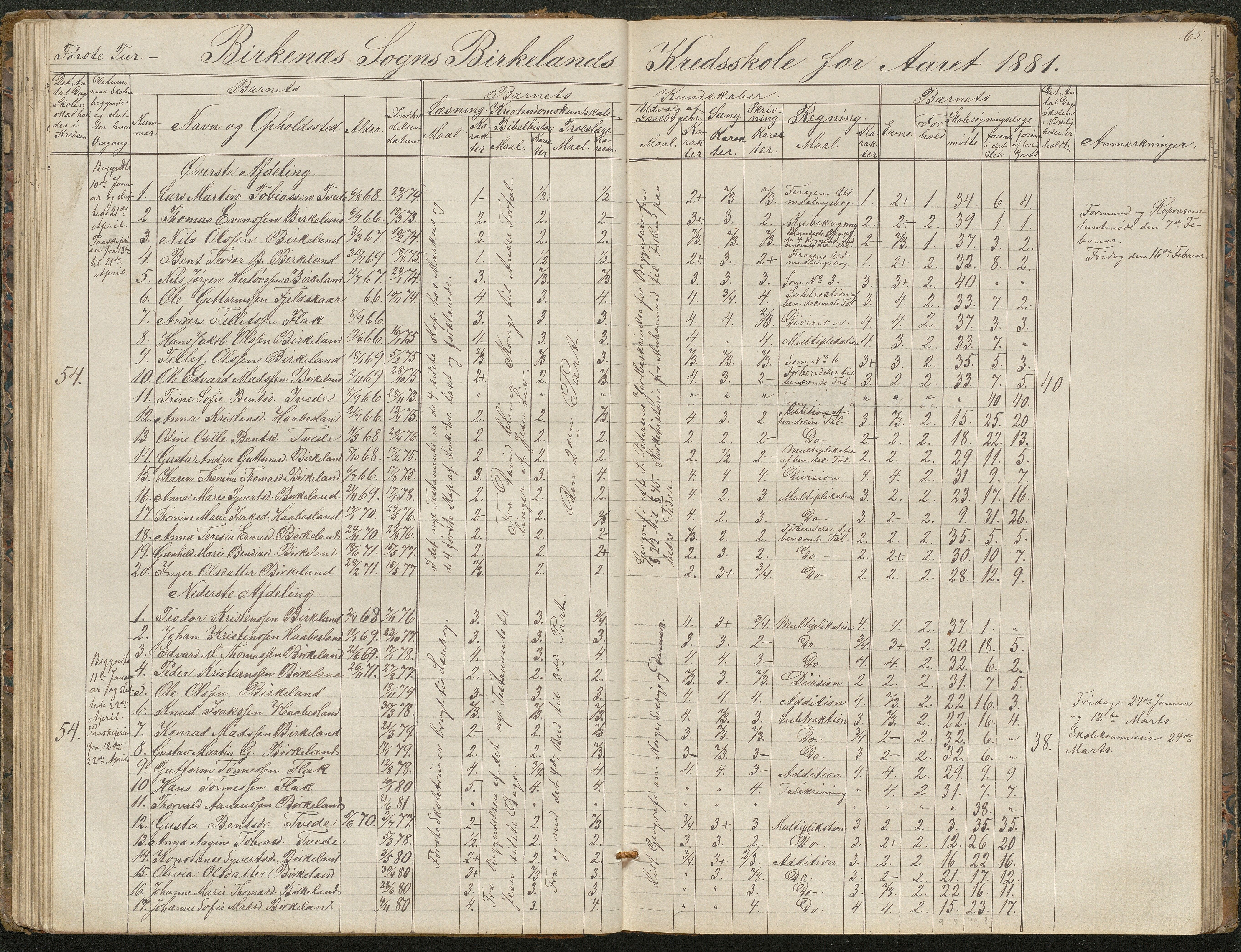 Birkenes kommune, Birkenes krets/Birkeland folkeskole frem til 1991, AAKS/KA0928-550a_91/F02/L0001: Skoleprotokoll, 1862-1896, s. 65