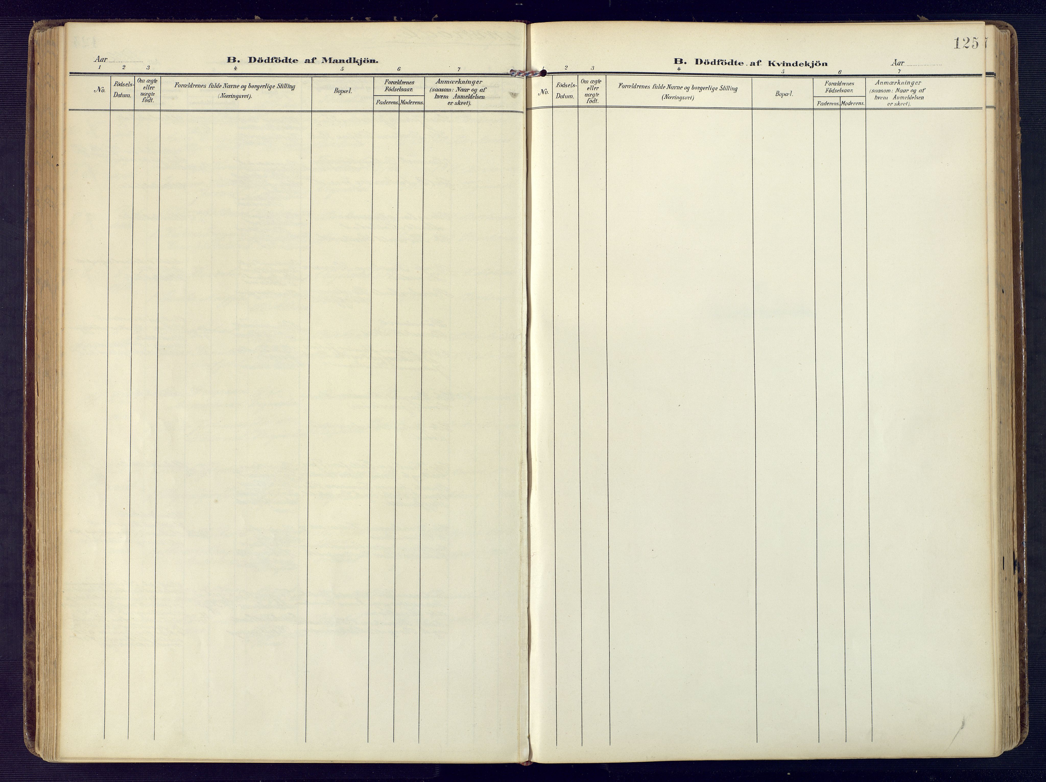 Birkenes sokneprestkontor, AV/SAK-1111-0004/F/Fa/L0006: Ministerialbok nr. A 6, 1908-1932, s. 125