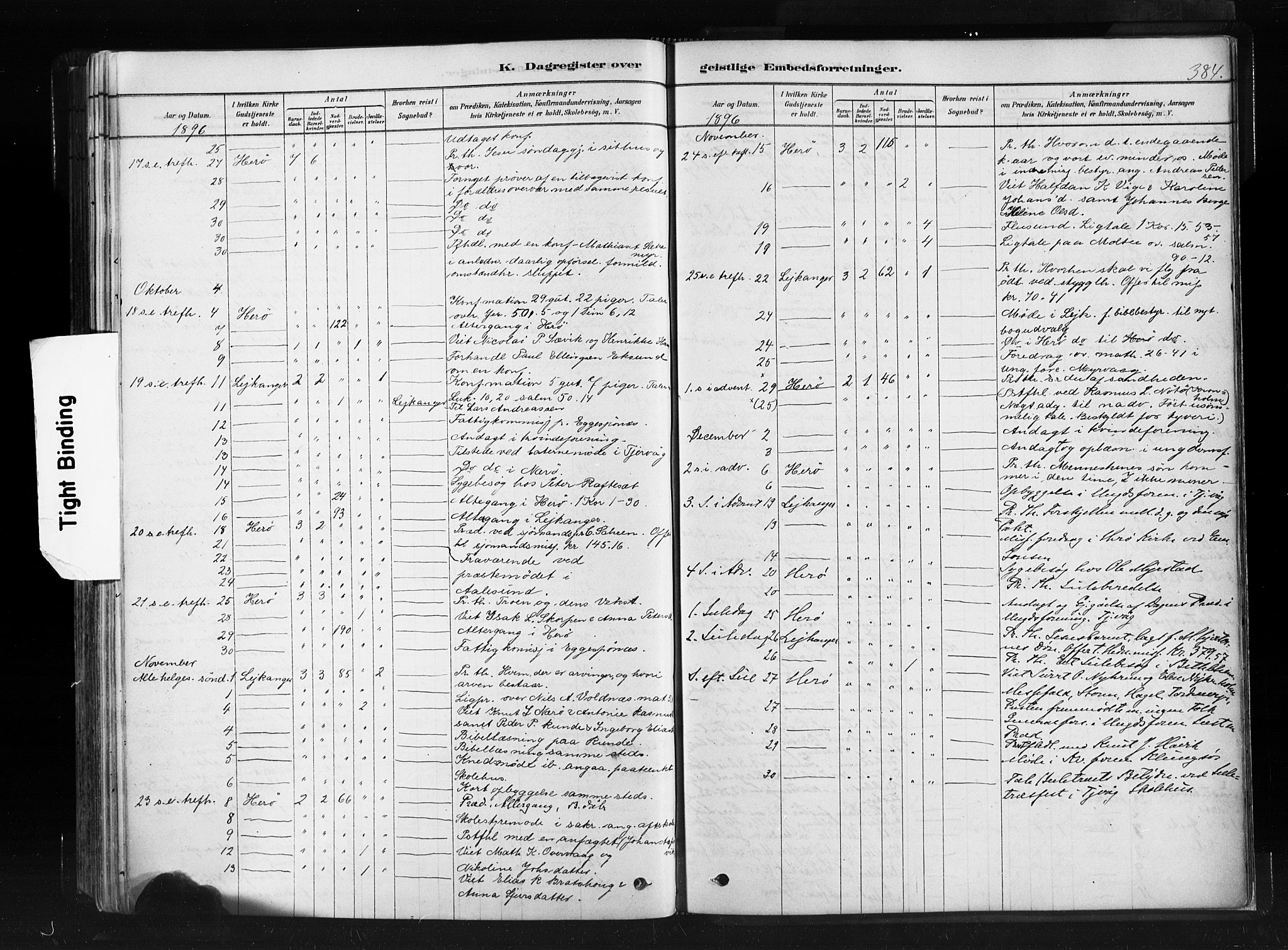 Ministerialprotokoller, klokkerbøker og fødselsregistre - Møre og Romsdal, SAT/A-1454/507/L0073: Ministerialbok nr. 507A08, 1878-1904, s. 384