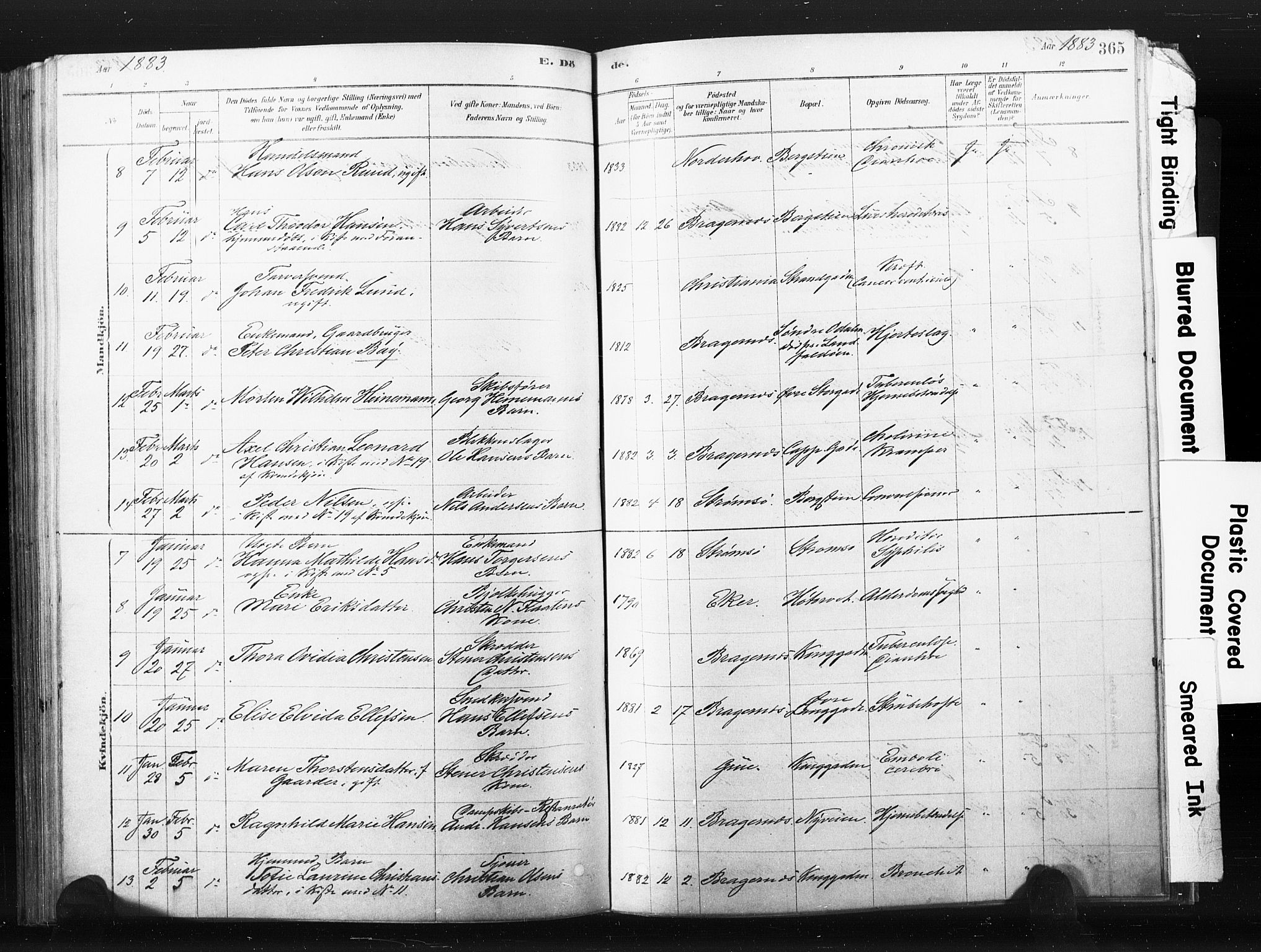 Bragernes kirkebøker, AV/SAKO-A-6/F/Fb/L0006b: Ministerialbok nr. II 6B, 1878-1885, s. 365