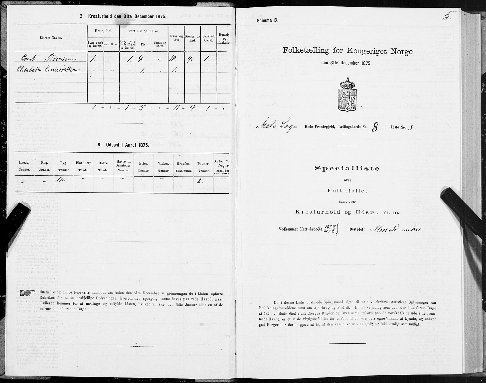 SAT, Folketelling 1875 for 1836P Rødøy prestegjeld, 1875, s. 4005