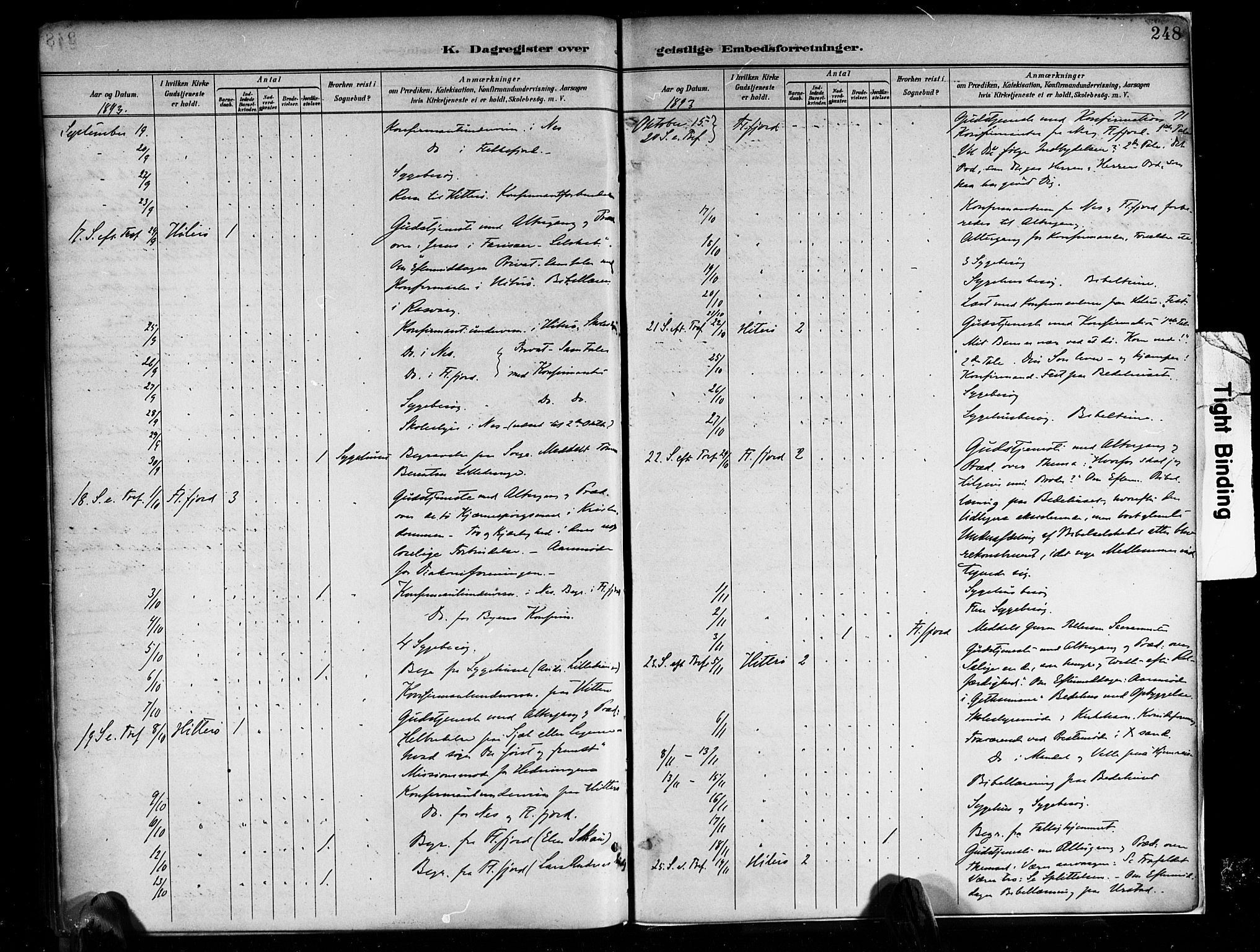 Flekkefjord sokneprestkontor, AV/SAK-1111-0012/F/Fa/Faa/L0001: Ministerialbok nr. A 1, 1885-1900, s. 248
