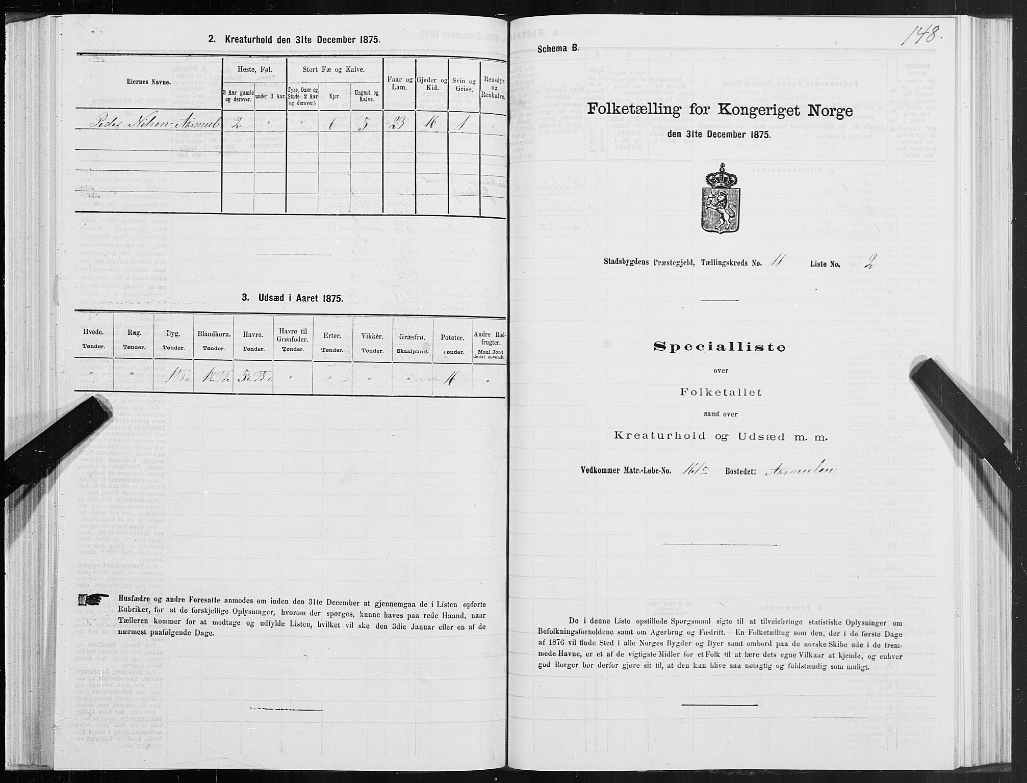 SAT, Folketelling 1875 for 1625P Stadsbygd prestegjeld, 1875, s. 6148